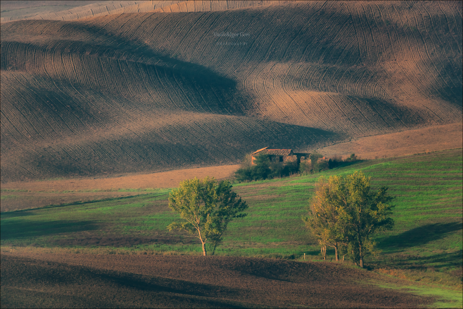 italy,san quirico d'orcia,italia,рельеф,италия,тоскана,pienza,кипарис,toscana,осень,tuscany,cipressi,belvedere,пьенца,тени,nature,agriculture,rural,фактуры, Гори Василий