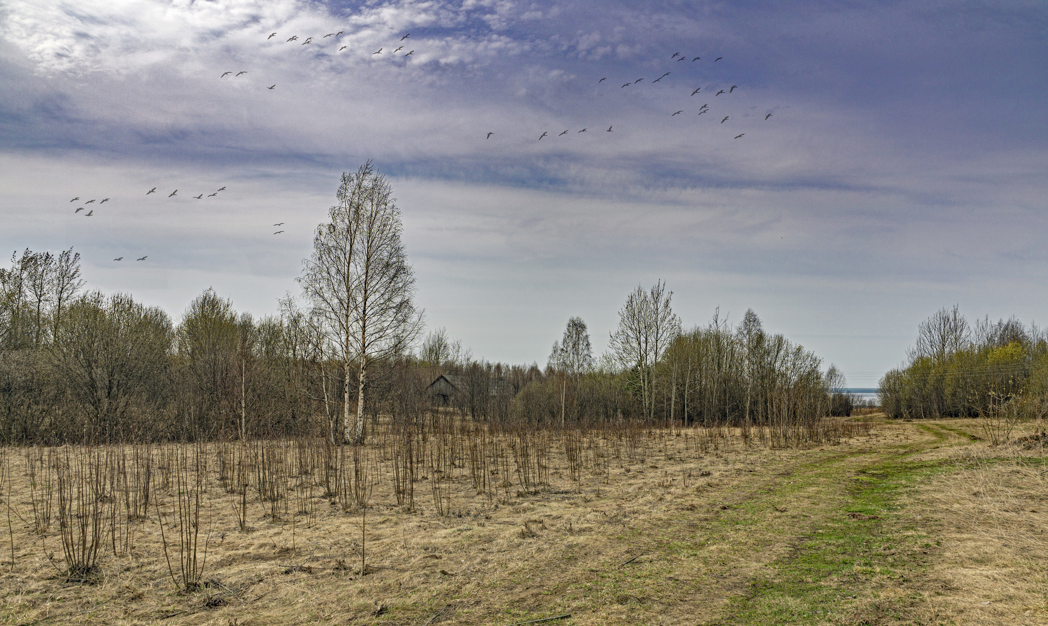 , Шитов Александр