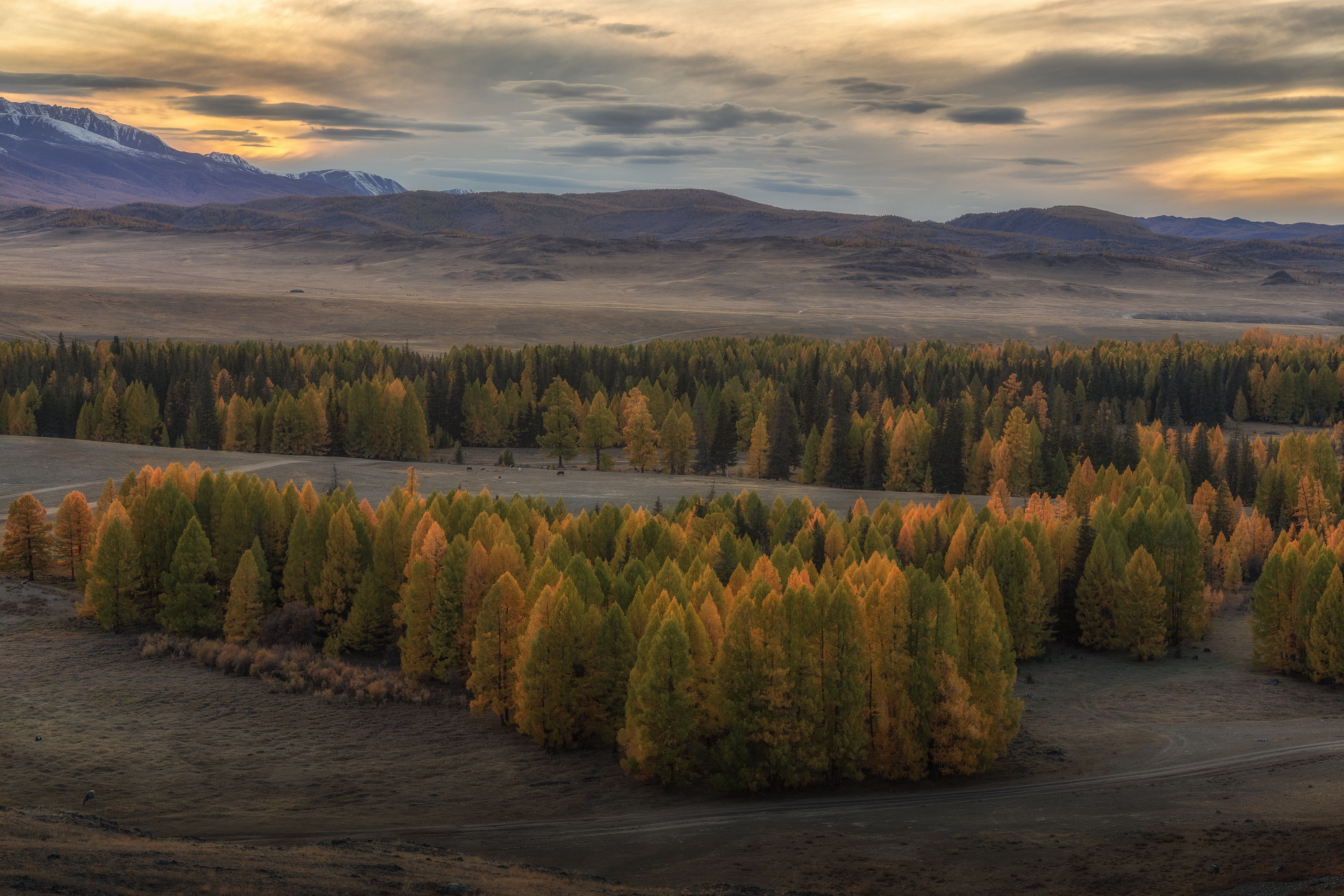 Алтай, Гусева Елена