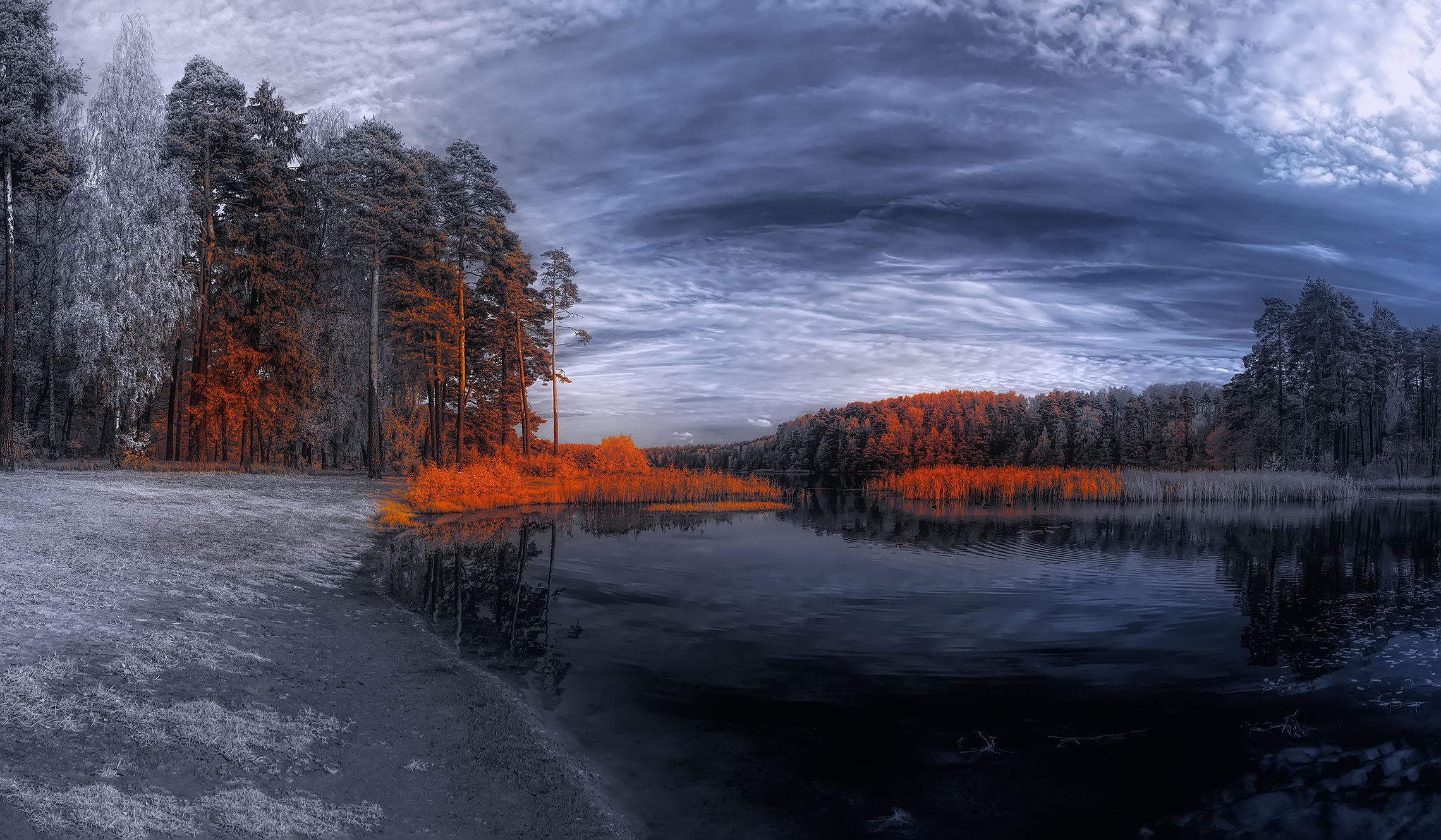 infrared,ик-фото,инфракрасное фото, инфракрасная фотография, пейзаж, осень,  Sixten (Сергей)