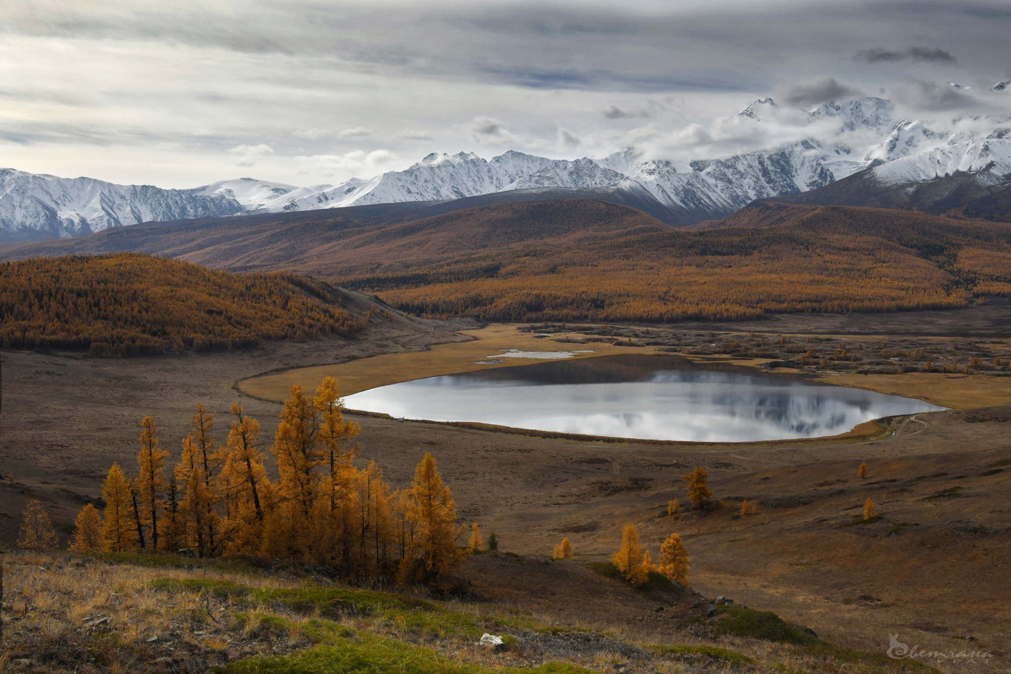 , Светлана Крат