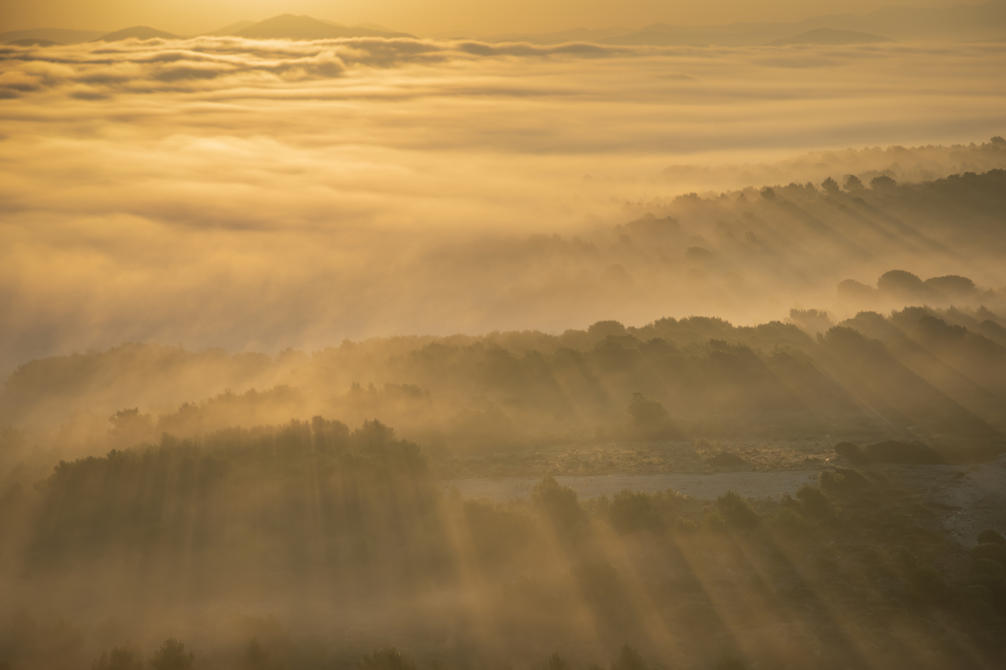 #fog #landscapes #morning #goldhours , Šime Barešić