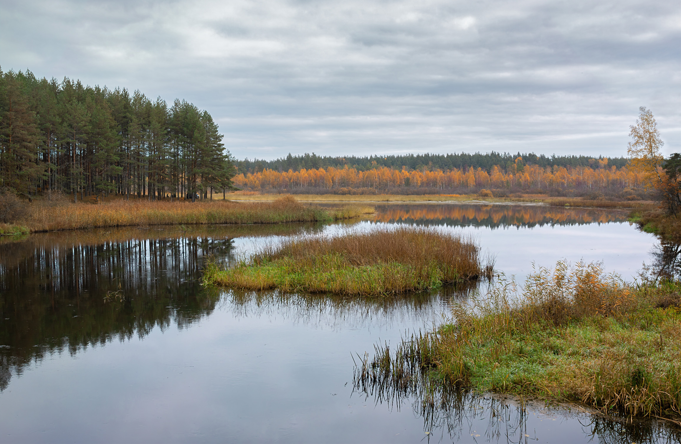 торопа, река, осень,, Юрий Андреев