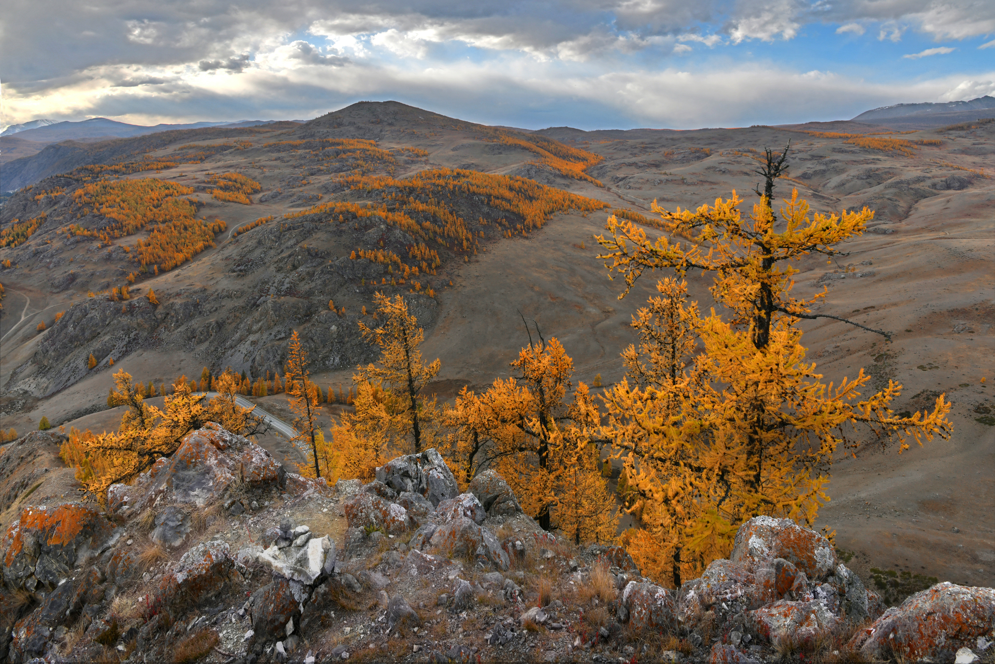 , Светлана Крат