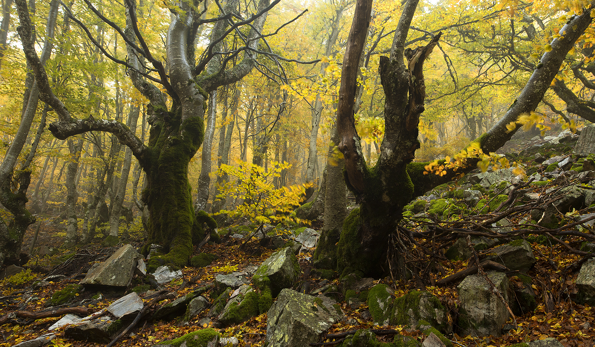 photo, photography, picture, land, landscape, nature, autumn, river, color, mood , colorful, snow, winter,color,nobody,mountains,storm, jimenez millan samuel