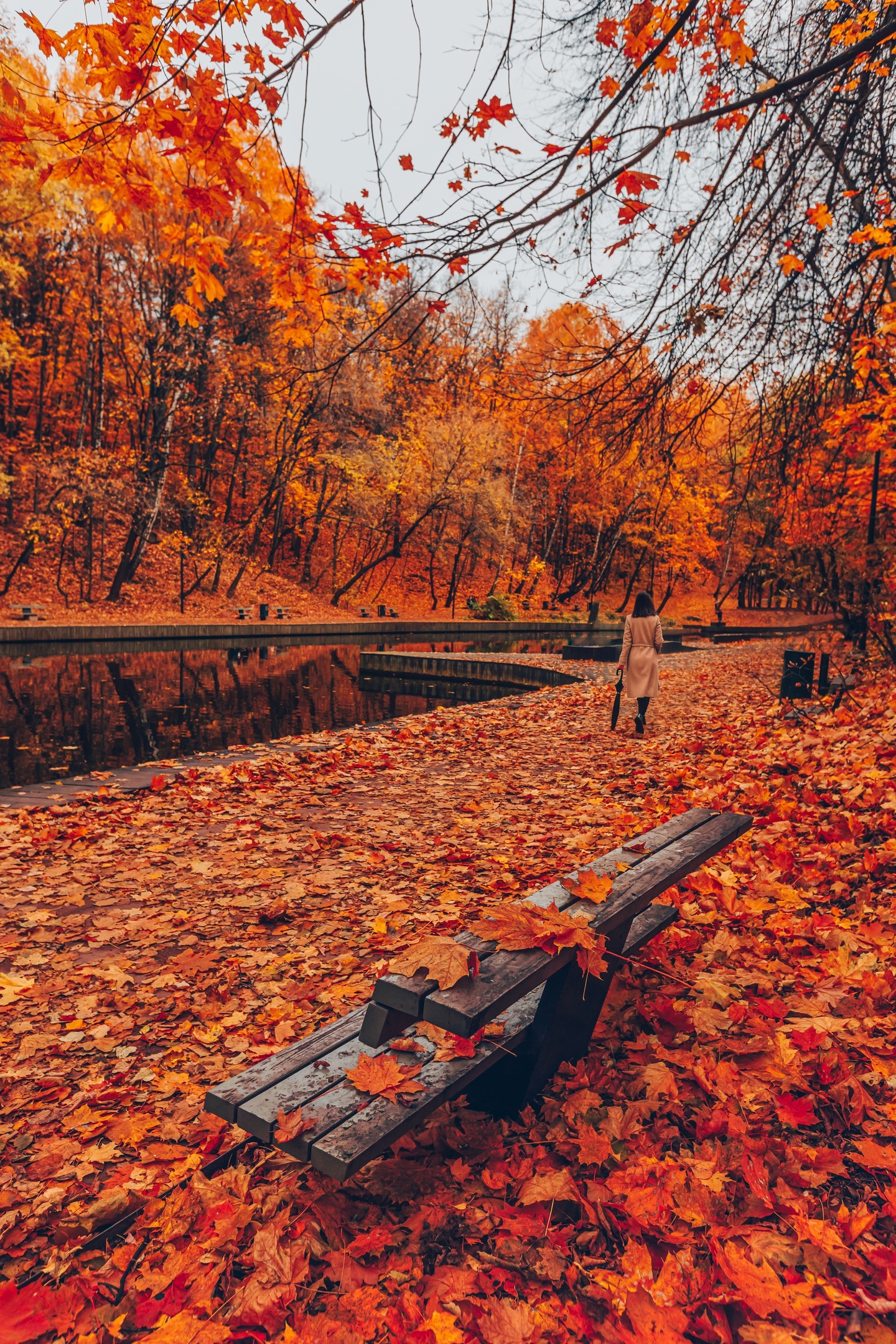 нескучный сад,москва,осень,золотаяосень,.autumn, Rom@shkin