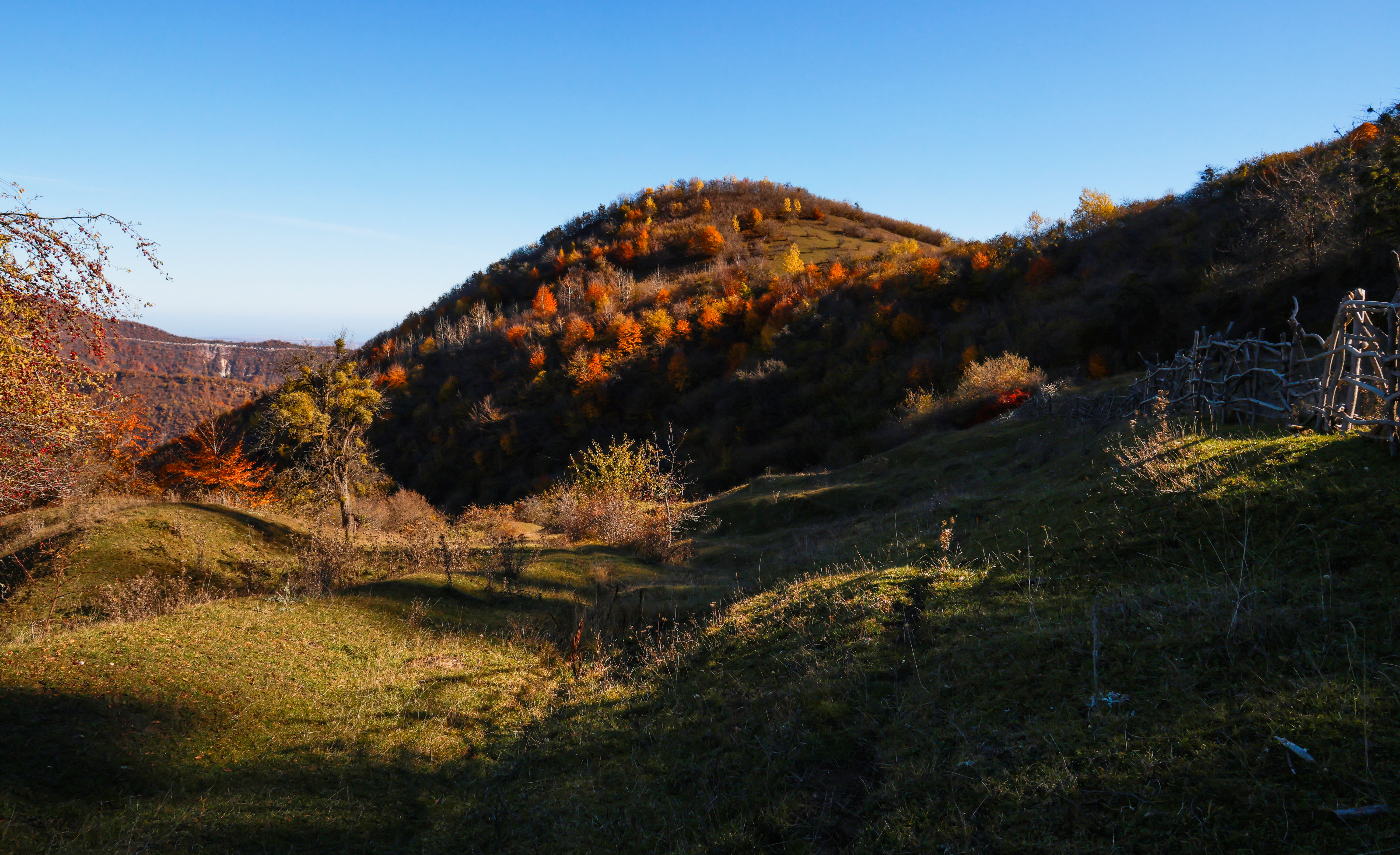 осень,горы,лес,пейзаж,дагестан,дахадаевский район,, Magov Marat