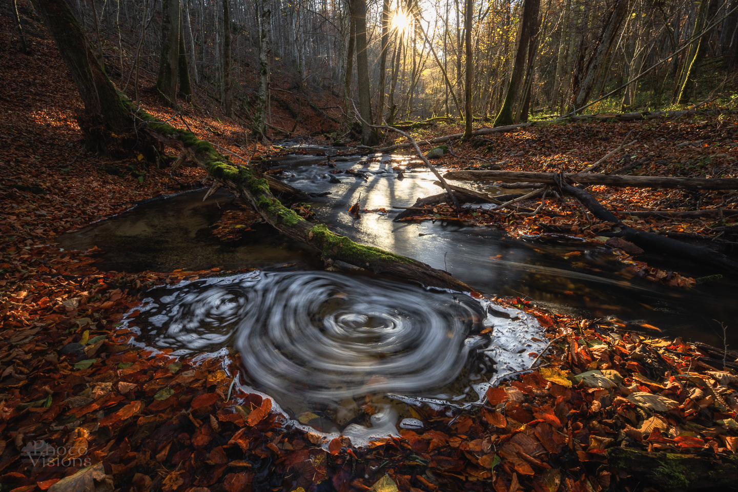 river,forest,trees,woodland,woods,autumn,autumnal,long exposure,nature,landscape,, Photo Visions