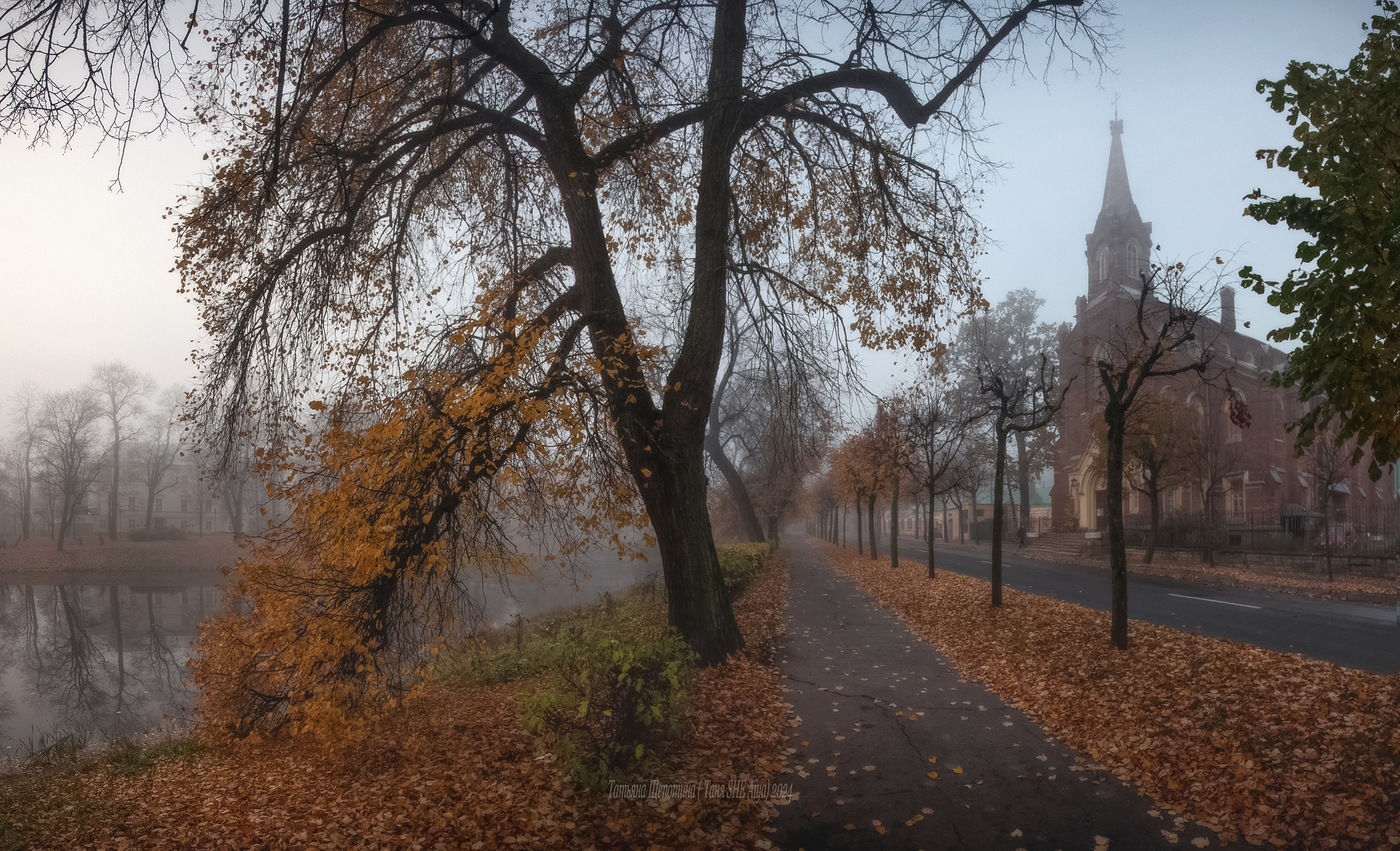 питер, пушкин, царское село, царское,  landscape, tsarskoye selo, autumn,  городской пейзаж, санкт-петербург, кирха, Щепотина Татьяна