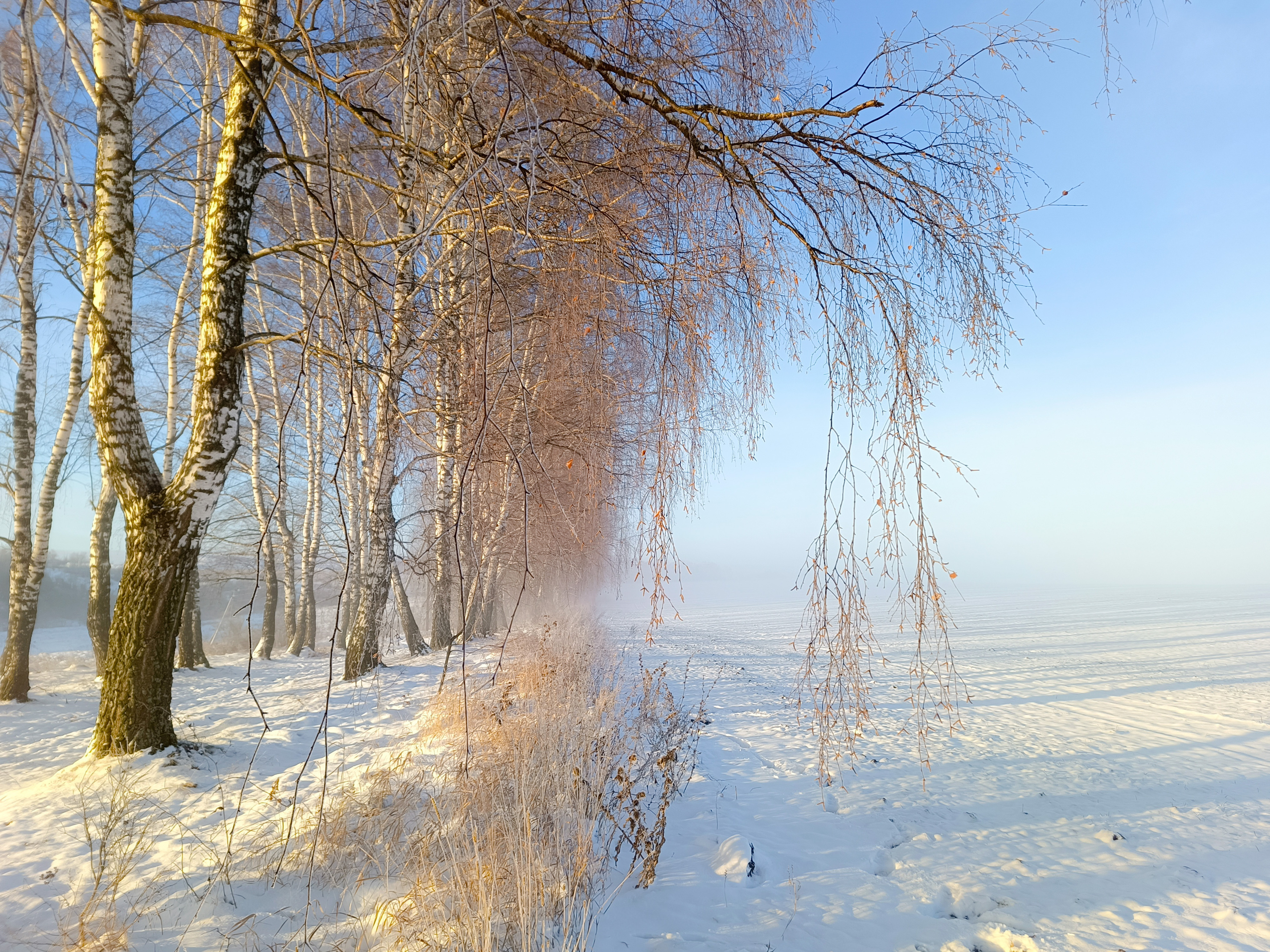 , Кондрашова Светлана