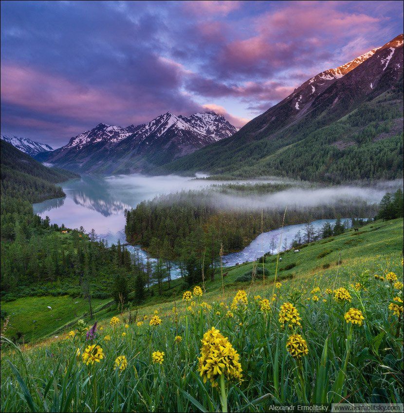 Altai, Алтай, Александр Ермолицкий