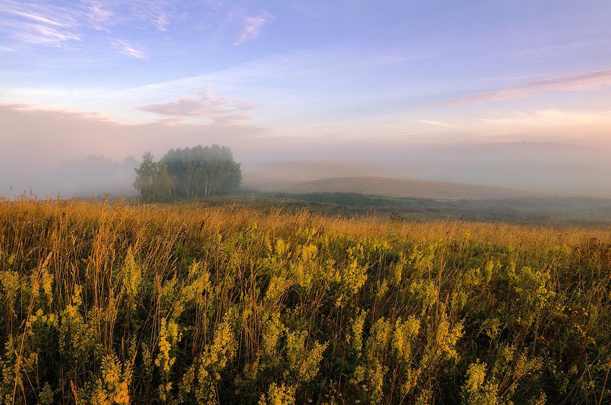 Autumn, Fog, Meadow, Mist, Morning, Justinas Kondrotas