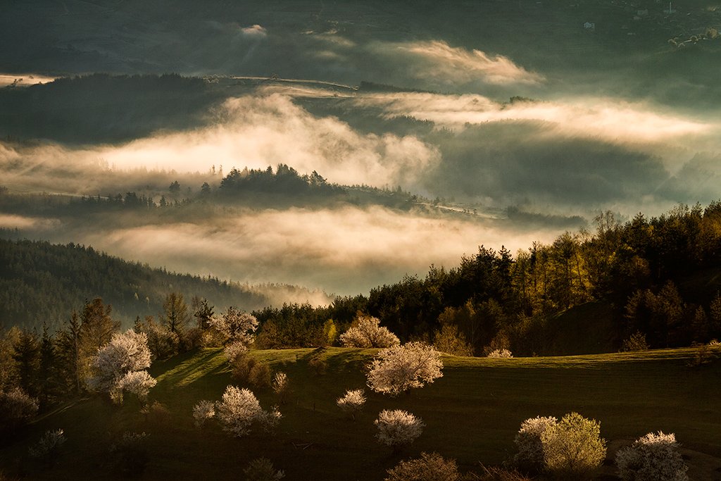весна, гора, разсвет, родопи, тумань, утро, Ирина Костова
