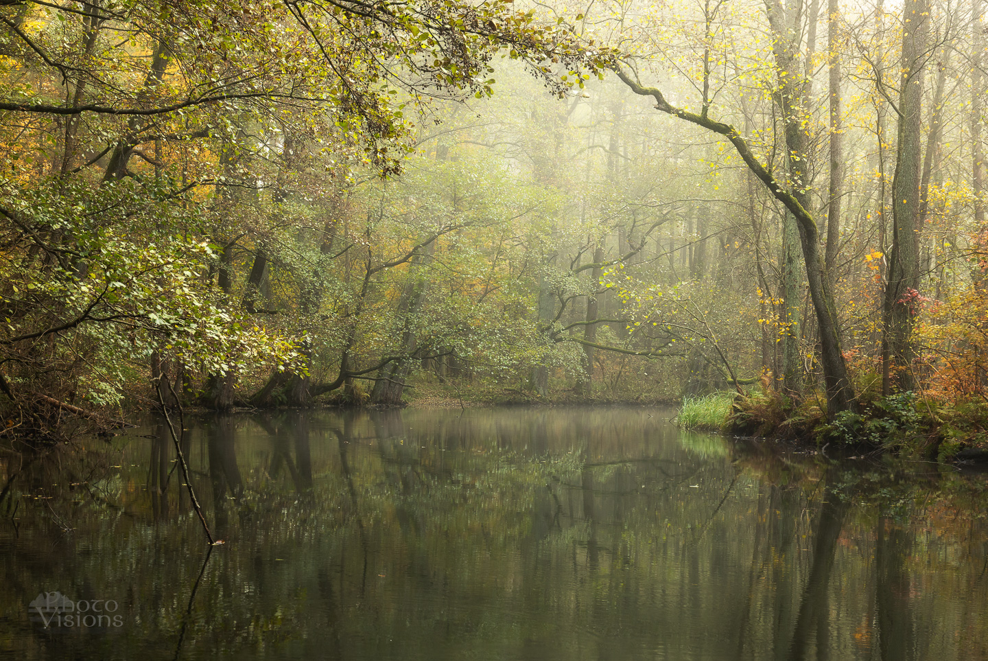 forest,river,woods,woodland,autumn,autumnal,landscape,reflections, Photo Visions