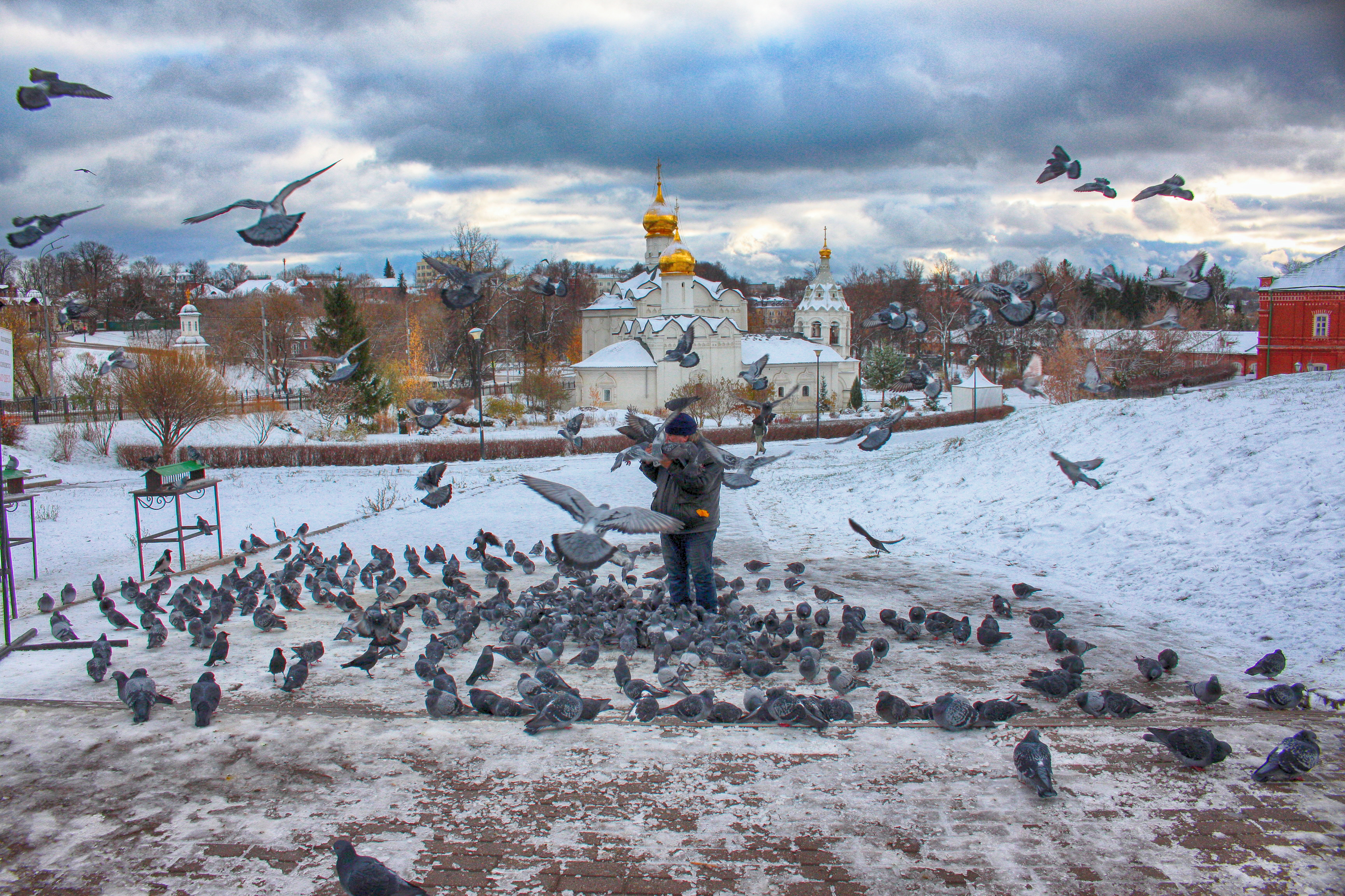 , Плотников Андрей