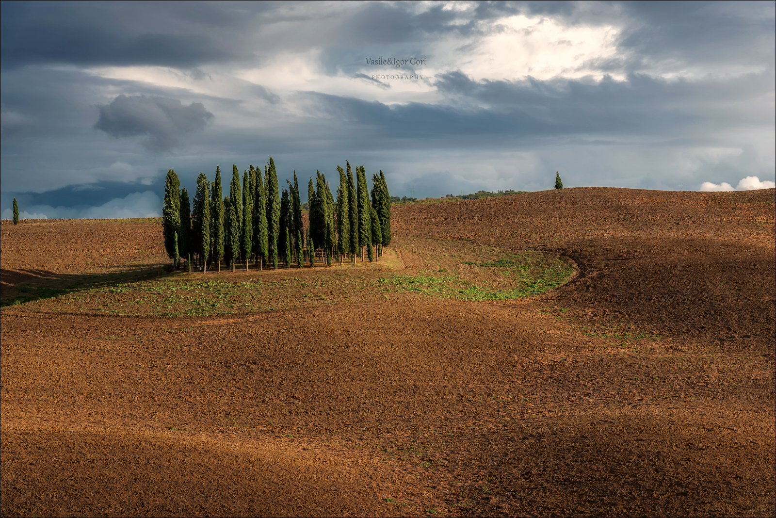 italy, san quirico d\'orcia,italia,италия,тоскана,кипарисовая роща,toscana,осень,tuscany,cipressi,belvedere,тени,свет, Гори Василий