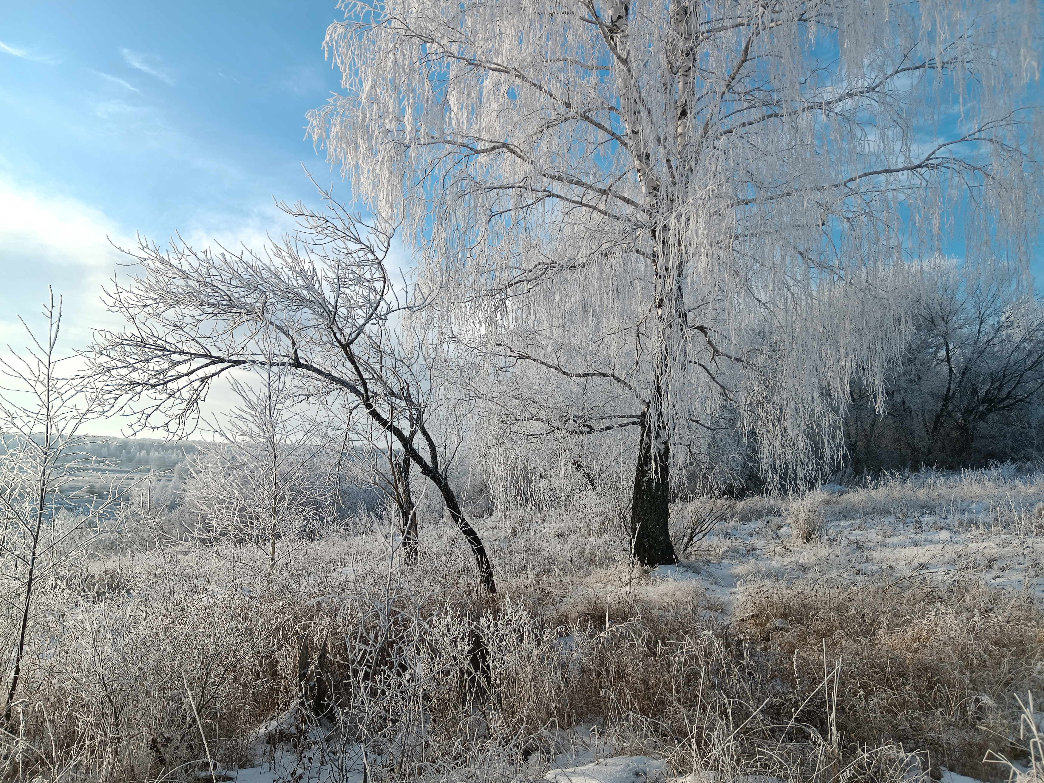 , Кондрашова Светлана