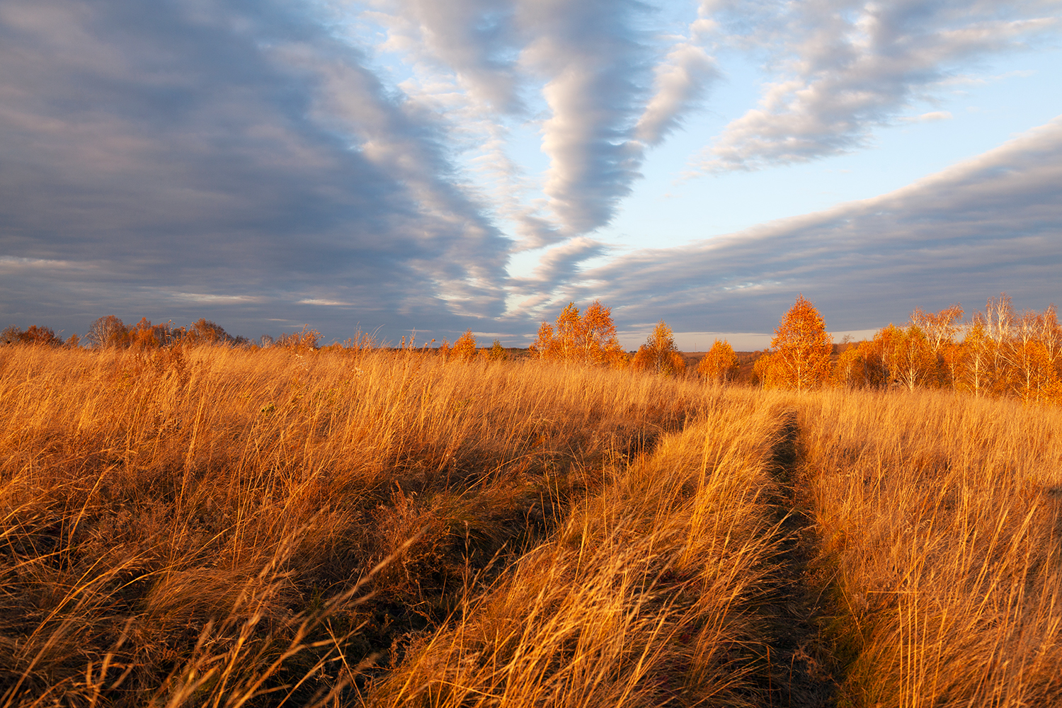 autumn, sunset, evening, russia, Медведникова Мария