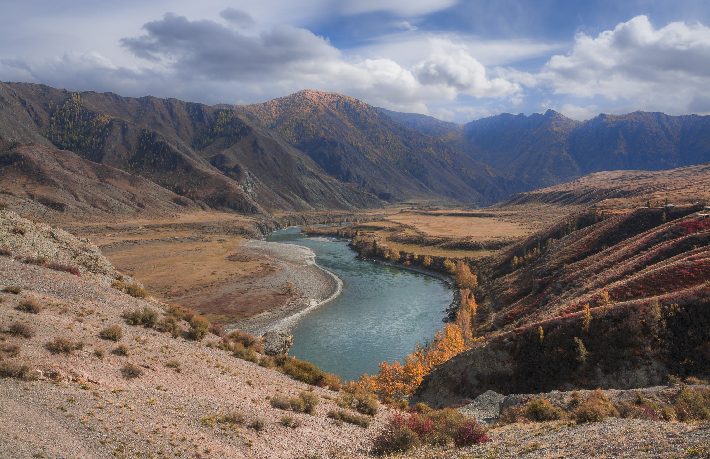 россия, горный алтай, река катунь, осень, Андрей Поляков