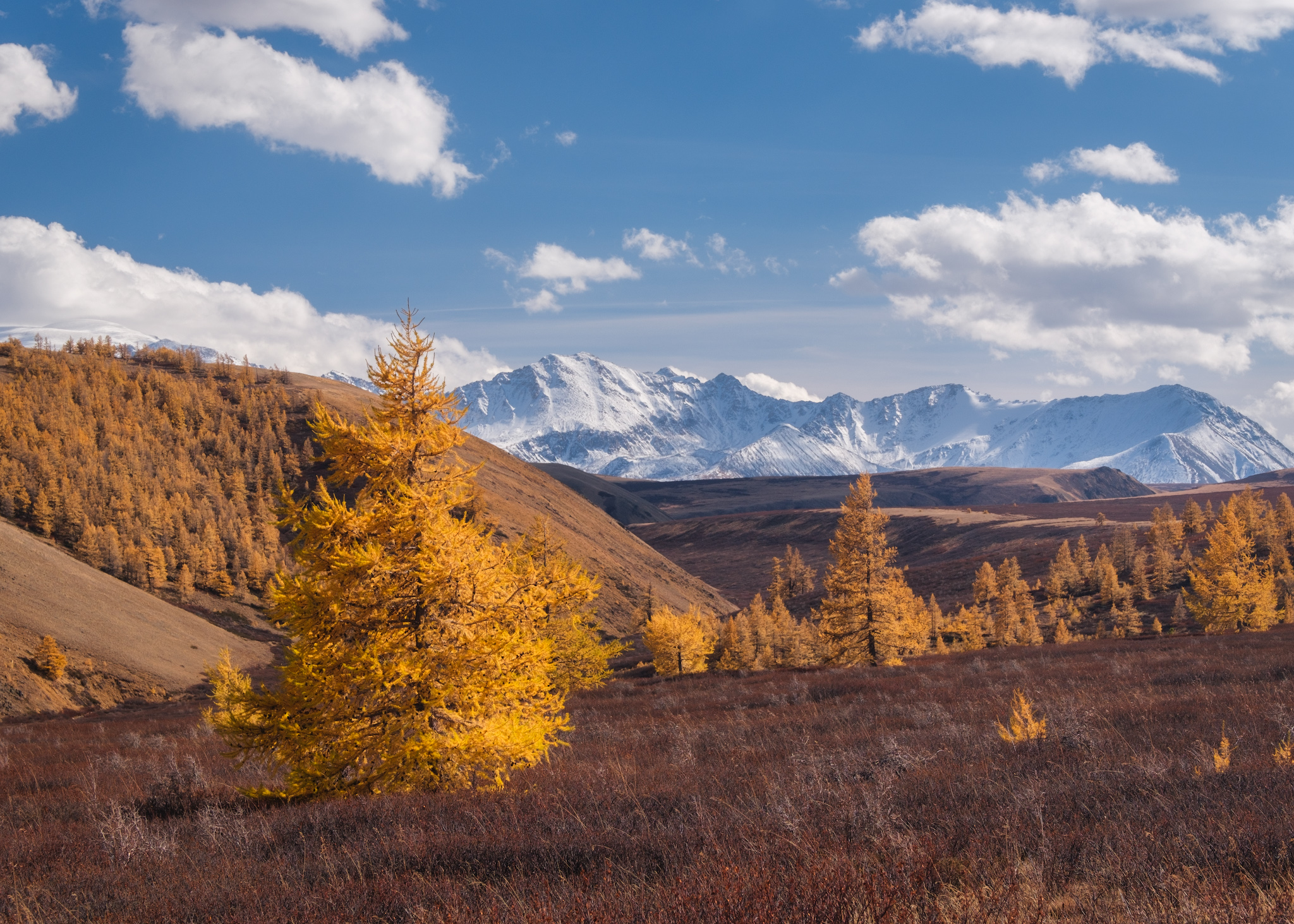 тыва, tuva, горы, солнце, облака, золотая осень, путешествие, journey, traveling, Леонтьев Константин