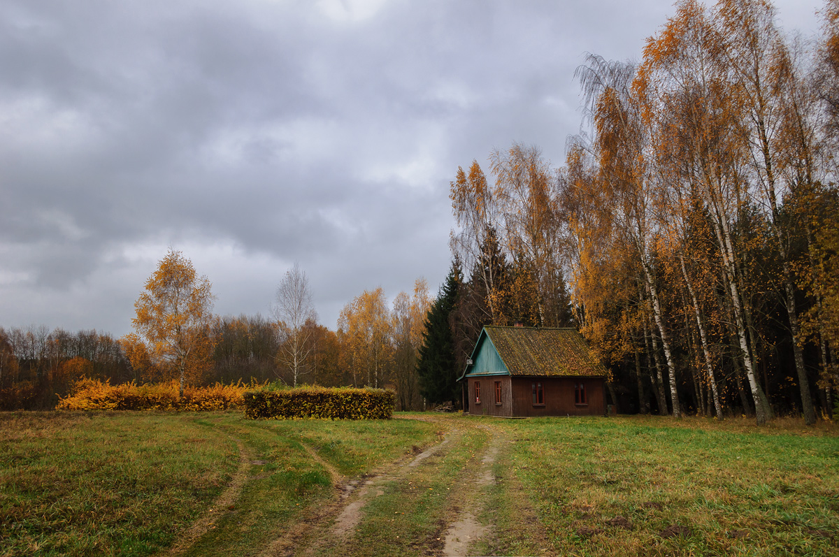 осень, вечер, ноябрь, октябрь, листья, небо, деревня, Карабинов Дима