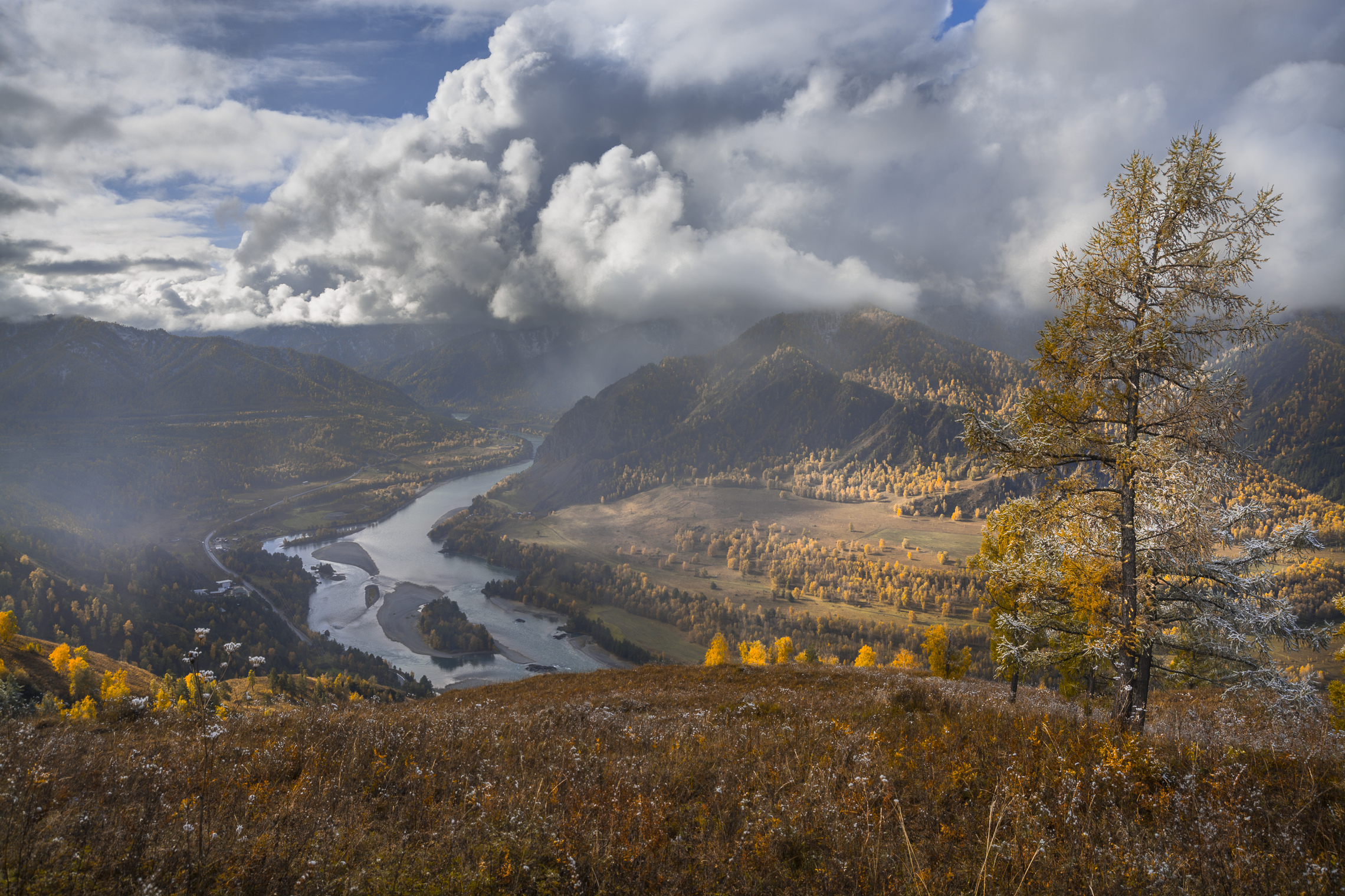 россия, горный алтай,река катунь,осень, утро, Андрей Поляков