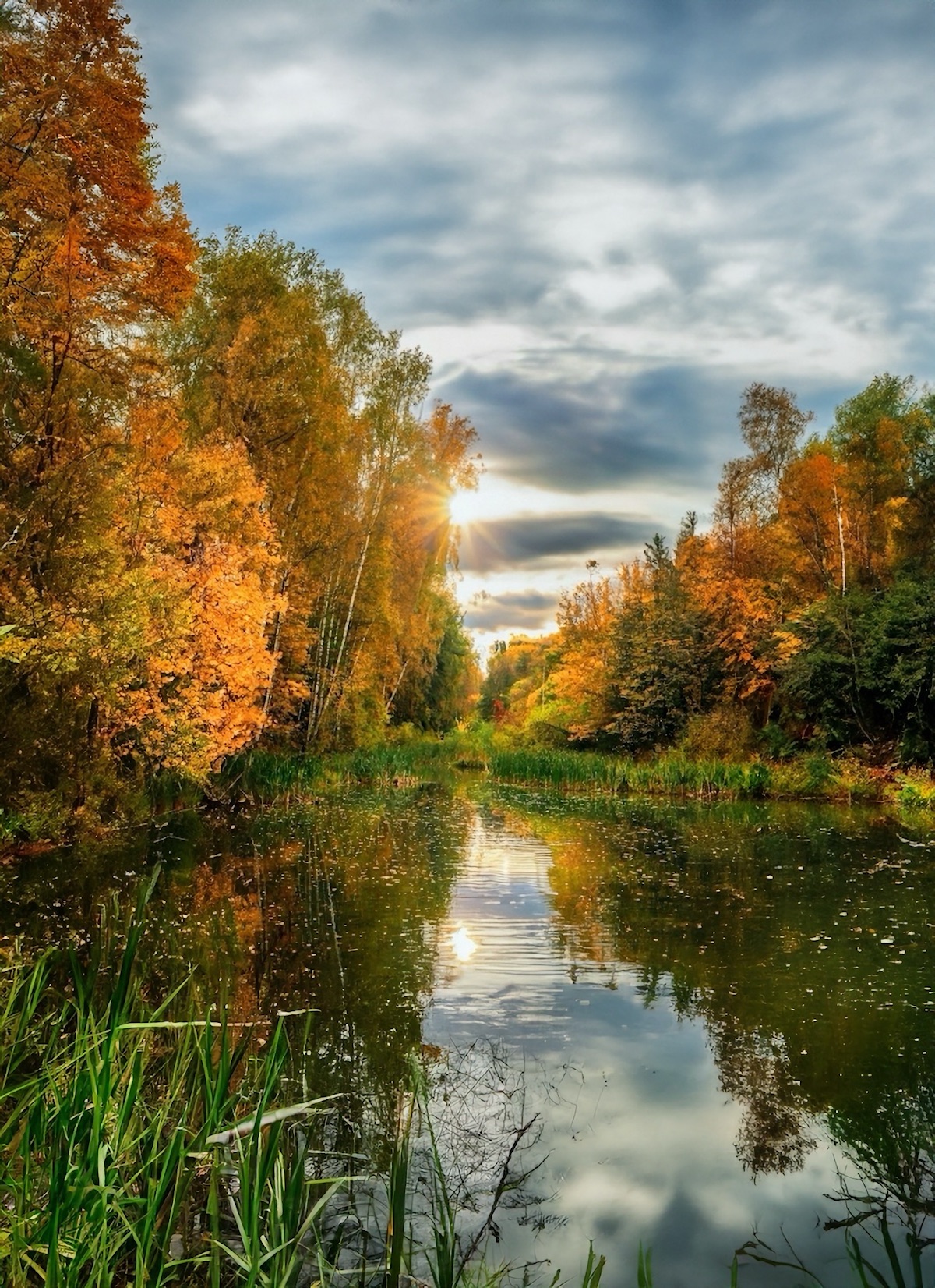 пейзаж, landscape, nature, природа, осень, autumn, золотаяосень, goldatum, пруд, Julia Kaissa