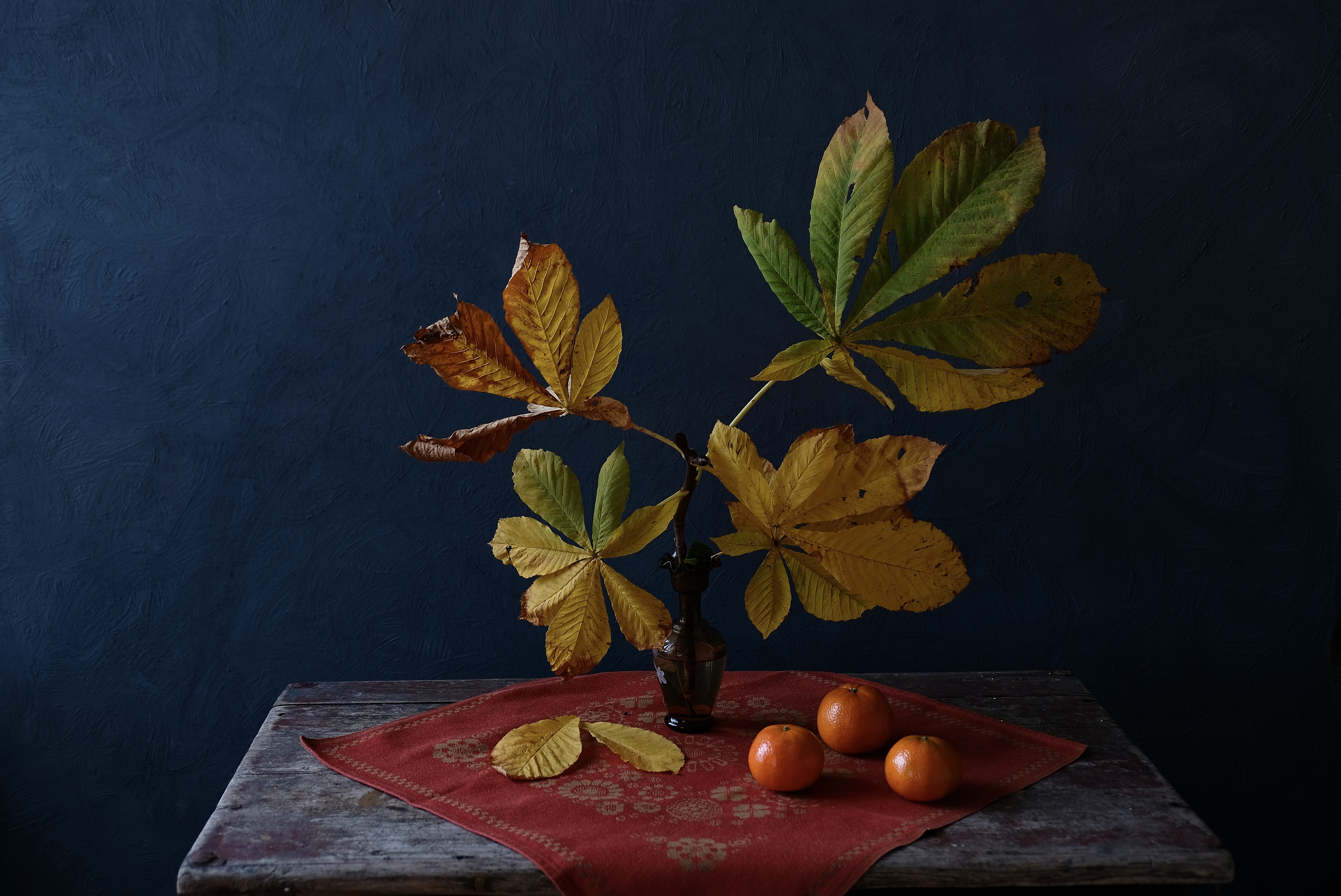 Still life, Autumn, Fall, Осень, Натюрморт, Colors, Tangerines, Leaves, , Svetlana Povarova Ree