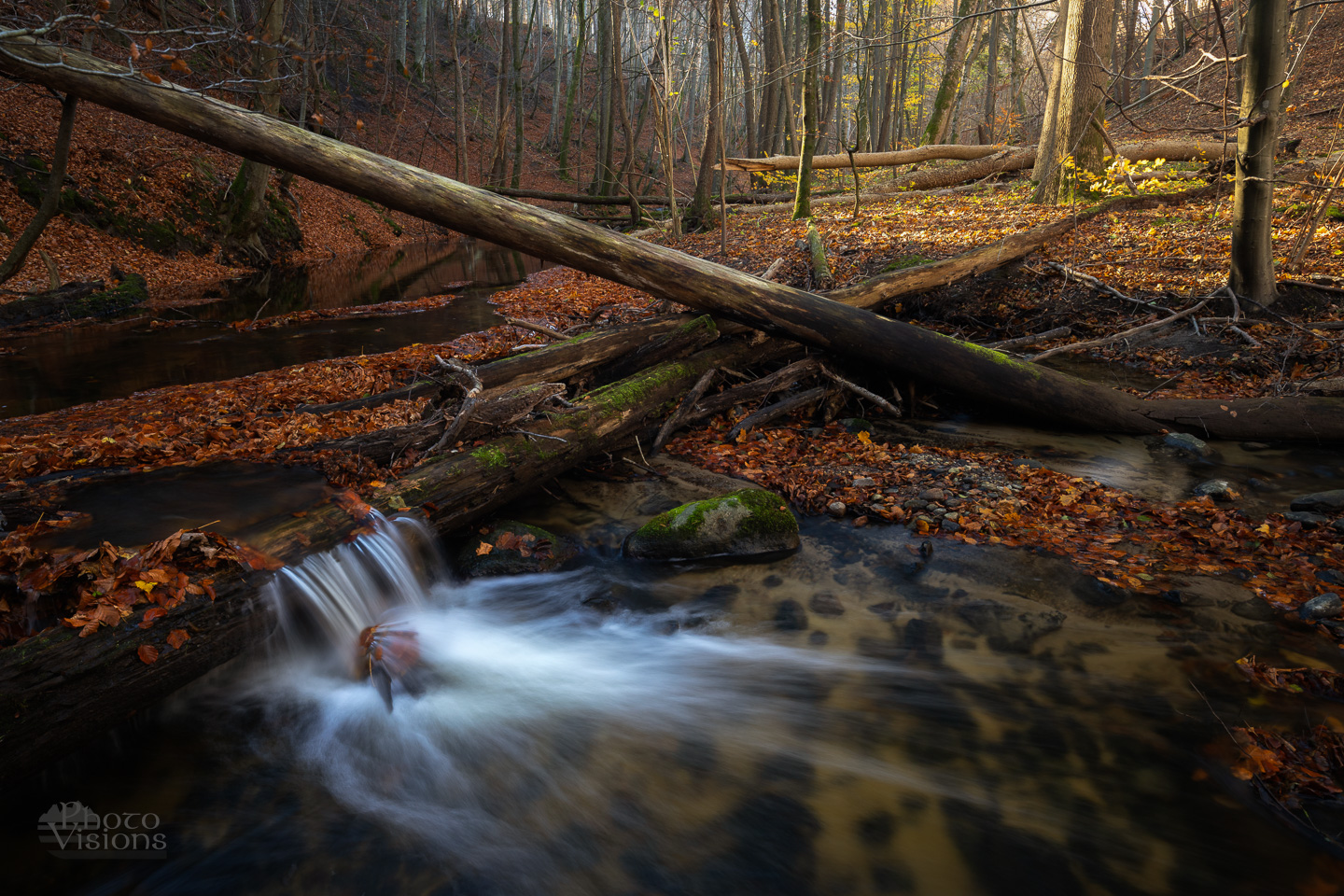 forest,river,waterfall,gorge,woods,woodland,trees,creek,water,autumn,autumnal, Photo Visions