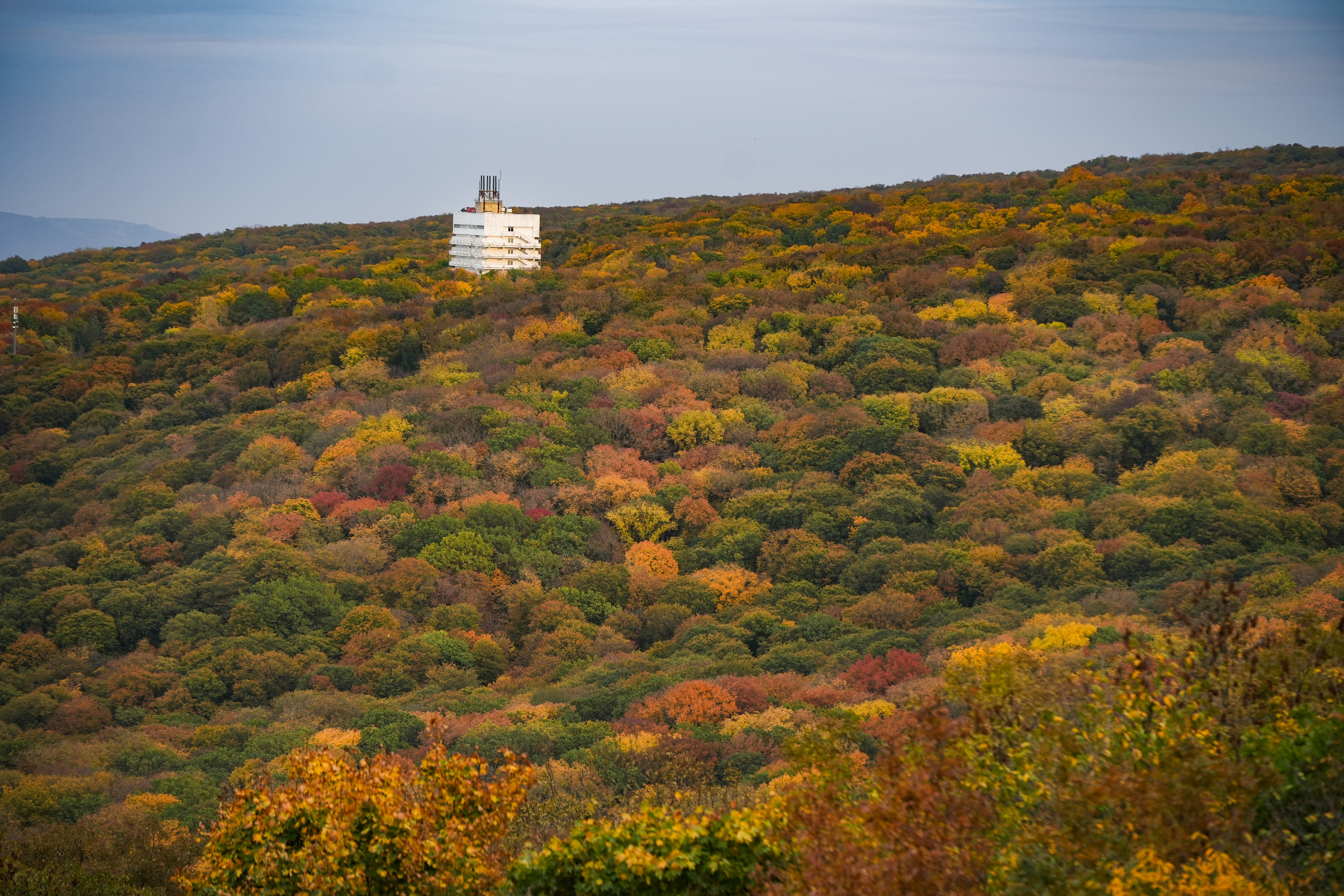 осень, железноводск, кмв, золотая осень, Светлана Зимина