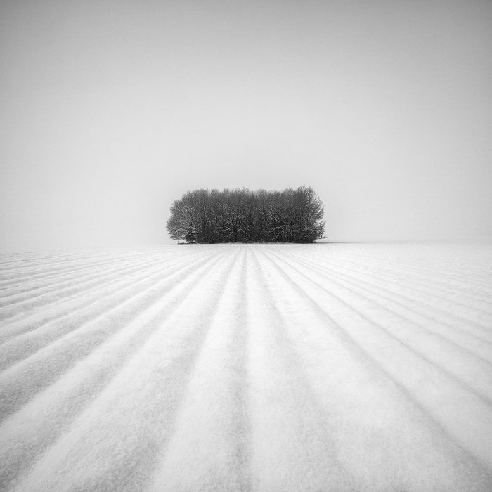 Black and white, Grove, Lines, Minimalism, Snow, Snowscape, Trees, Winter, Martin Rak