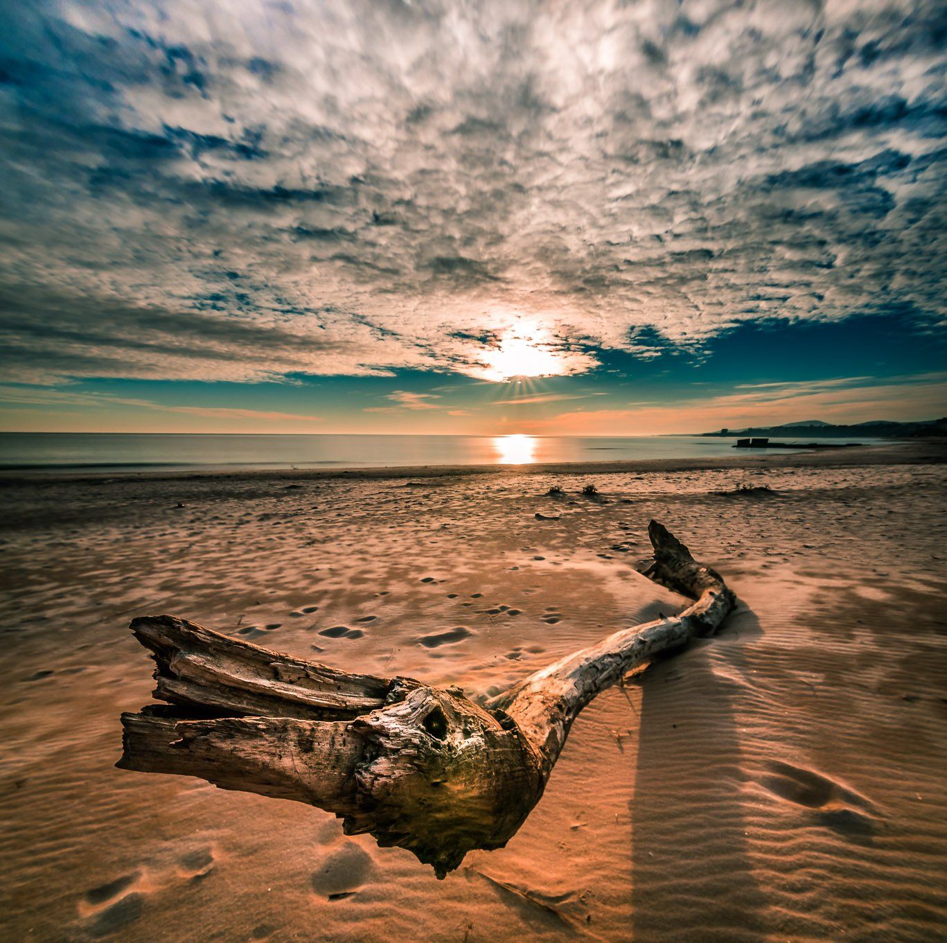 stump, beach, sunrise, winter, sand, Jeni Madjarova