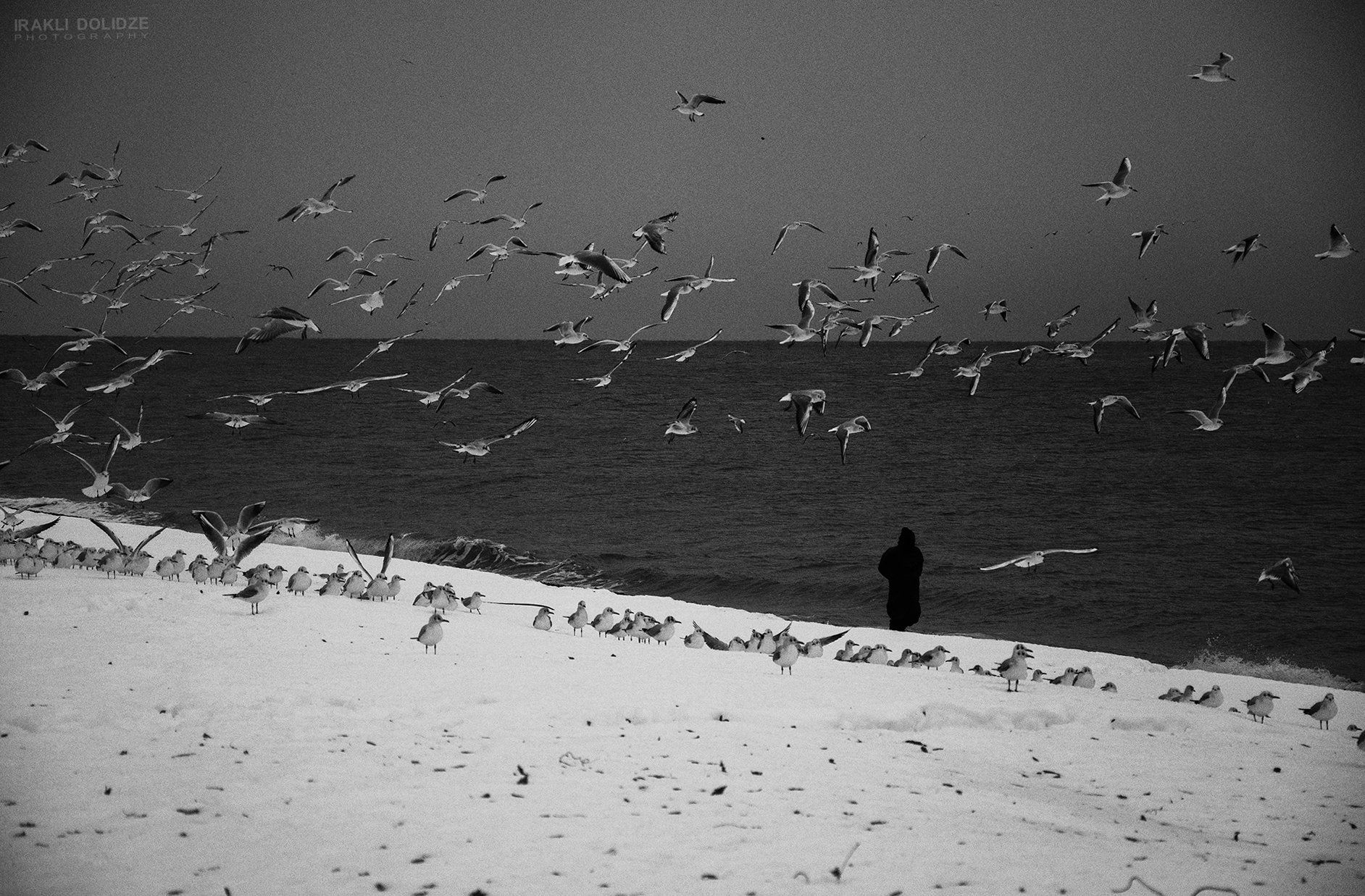 sea; winter; seaside; snow; silluette; human; b&w; landscape; sea-gull; , ირაკლი დოლიძე