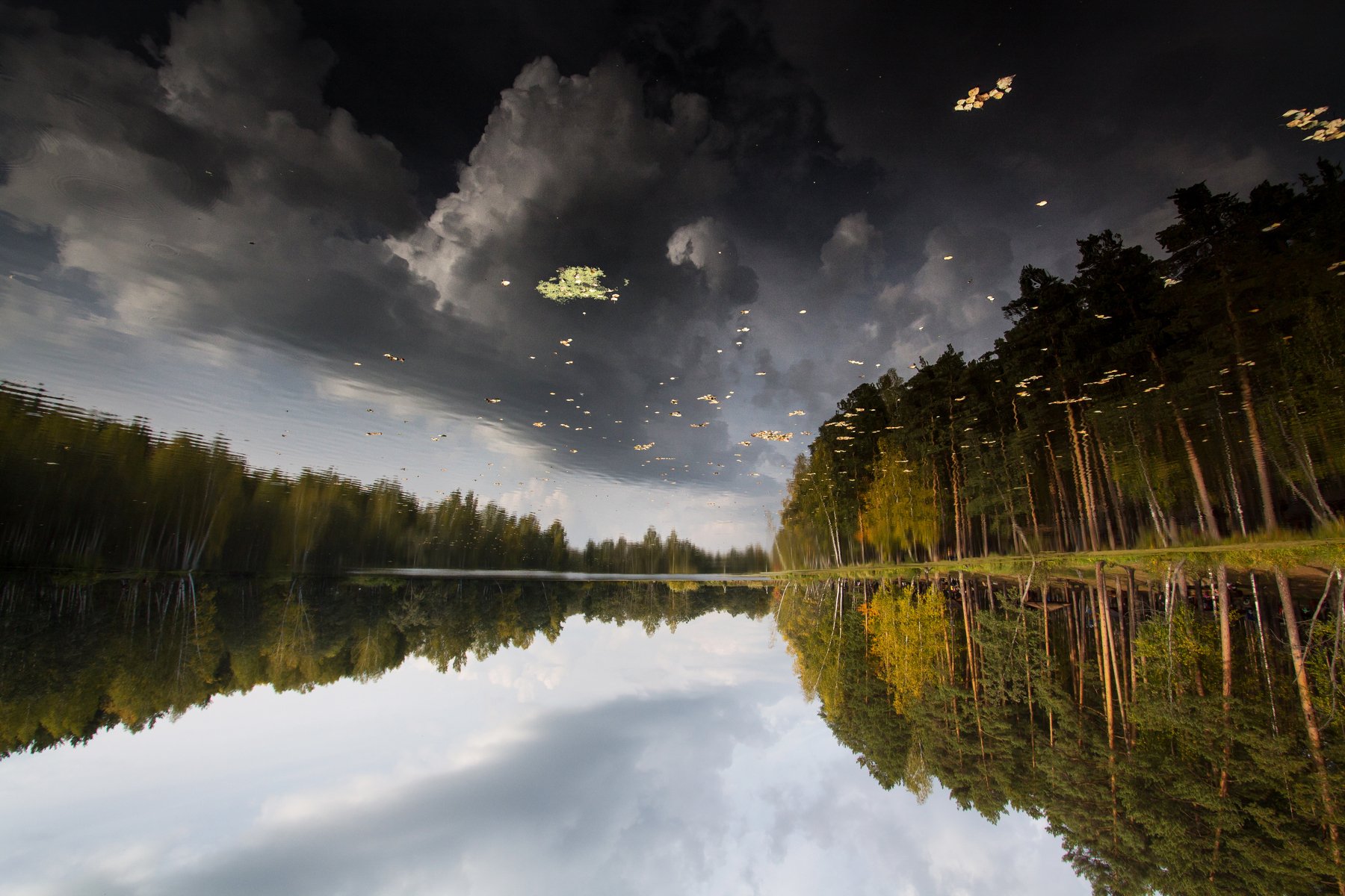 озеро, отражение, вода, лес, деревья, осень, небо, облака, Сергей Гарифуллин