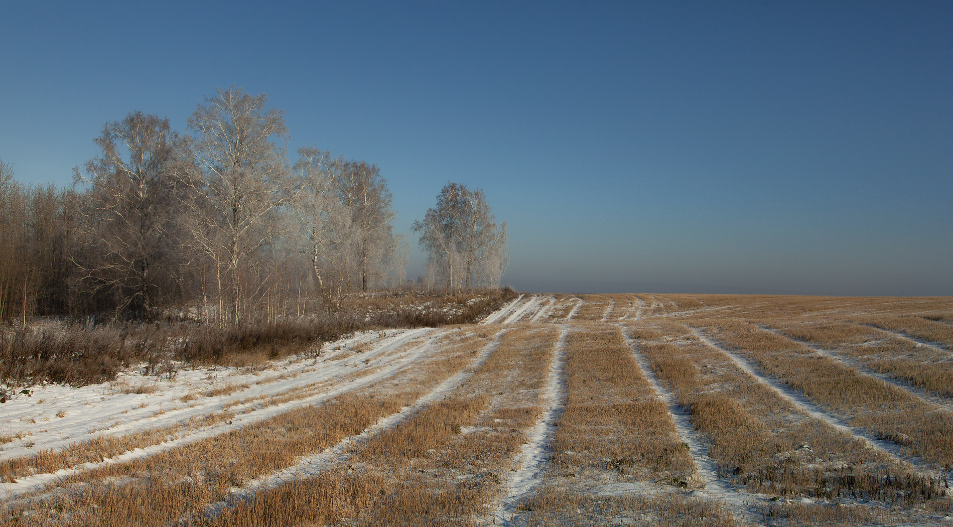 , Алексей Хахлов