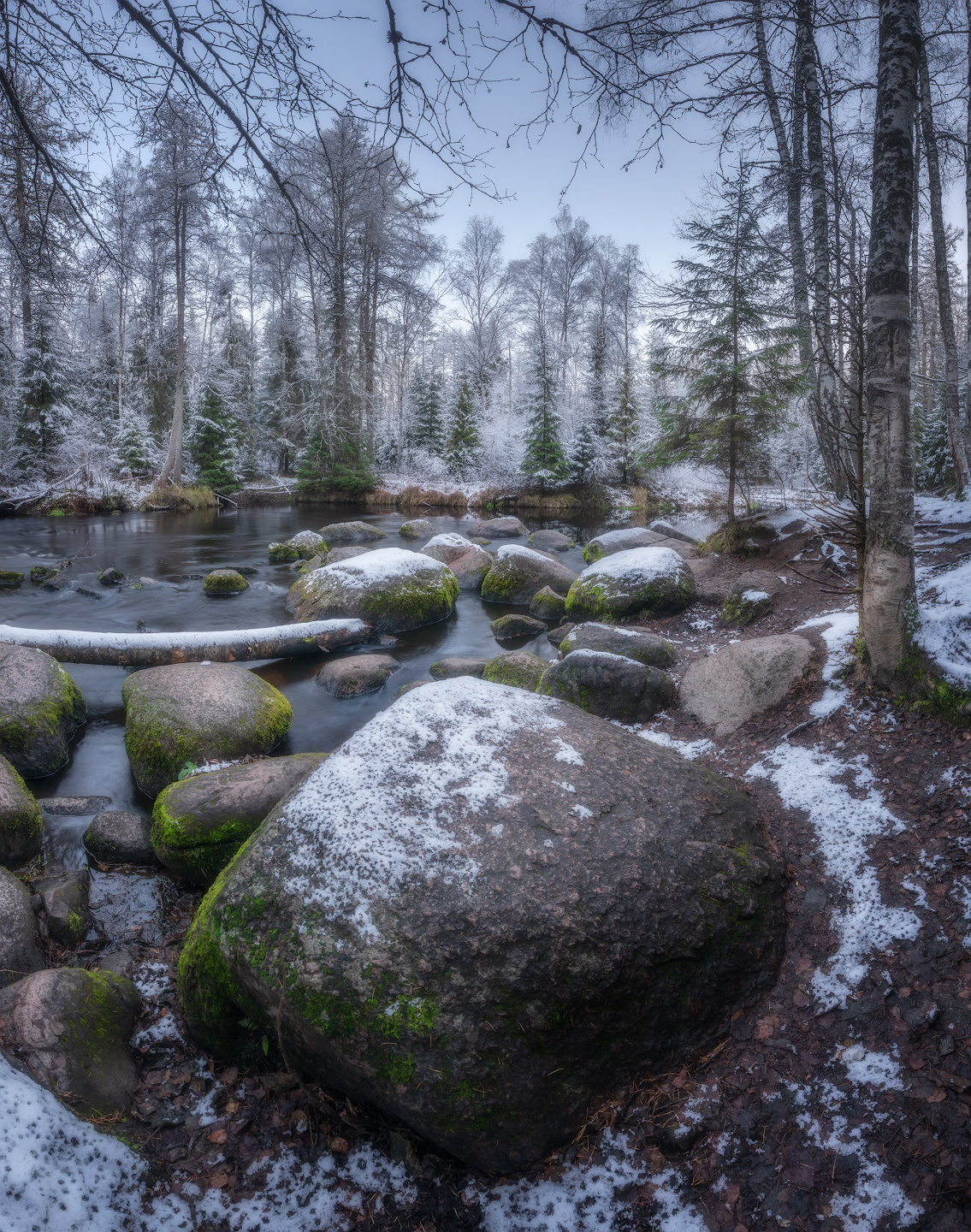 ленобласть, осень, рощинка, Марголин Алексей