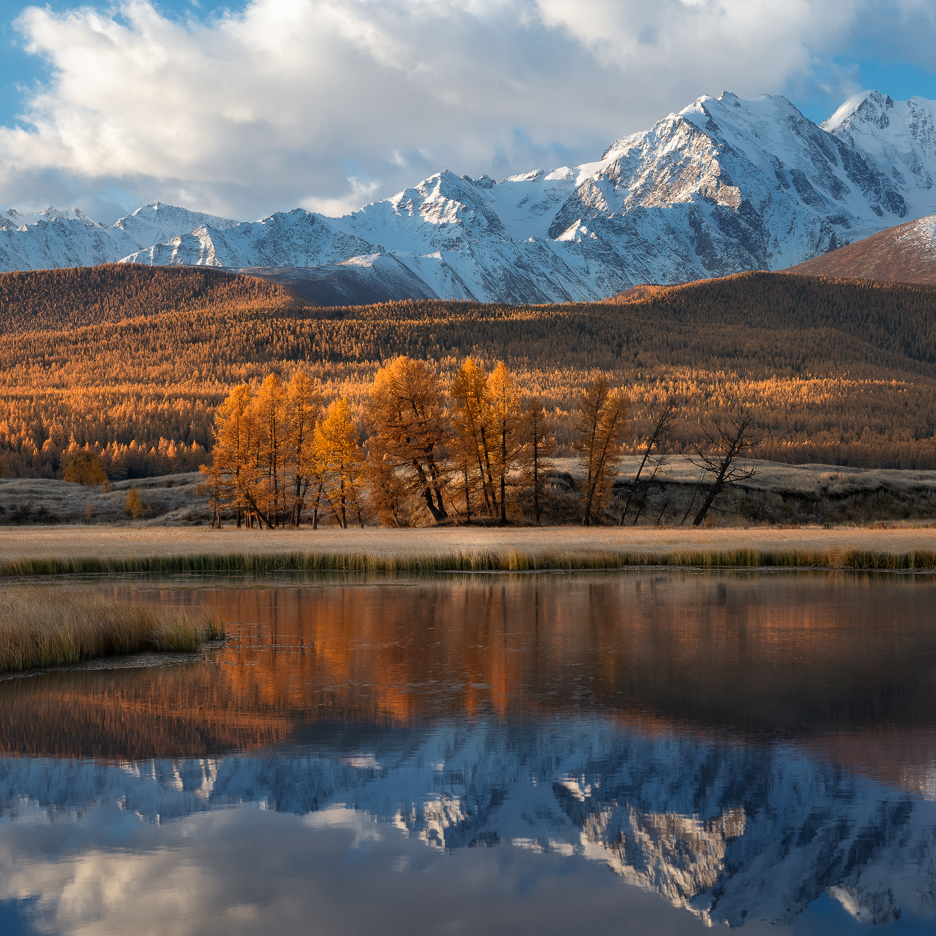 , Рудаков Глеб