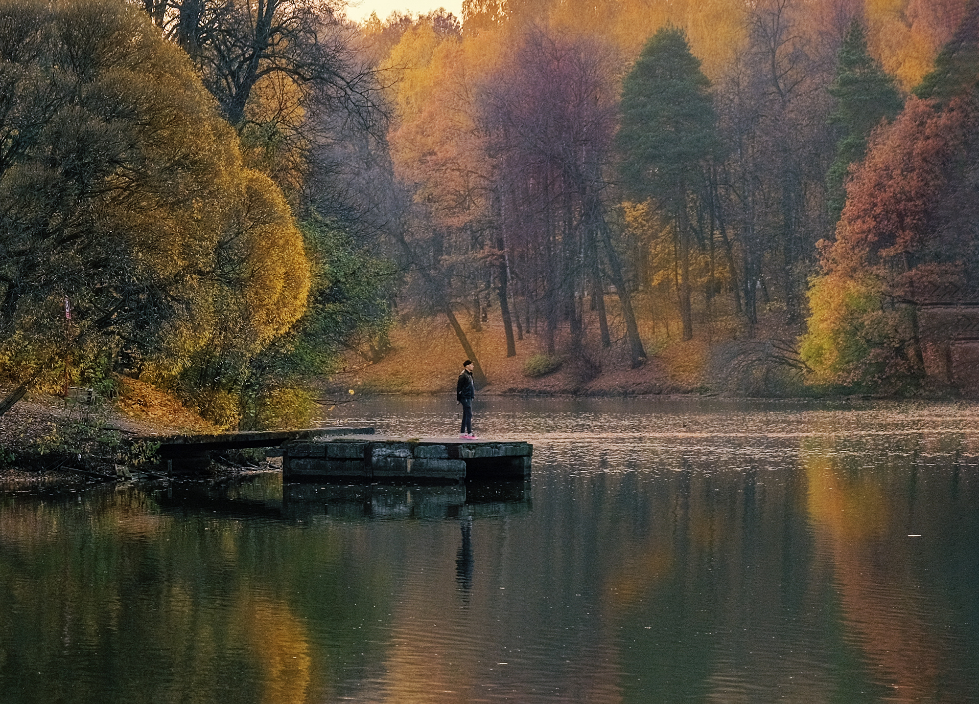 парк,осень,царицыно,лисья,фуджи, Natalia Bolotenkova