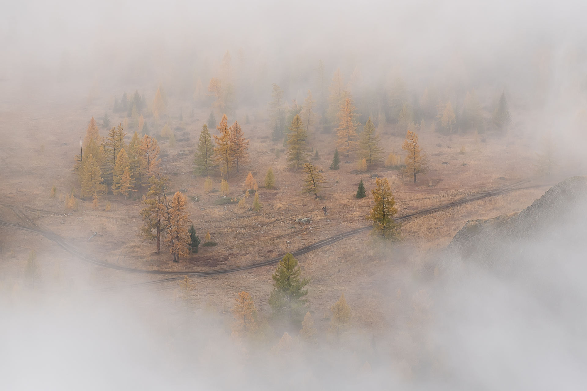 Алтай, Рудаков Глеб