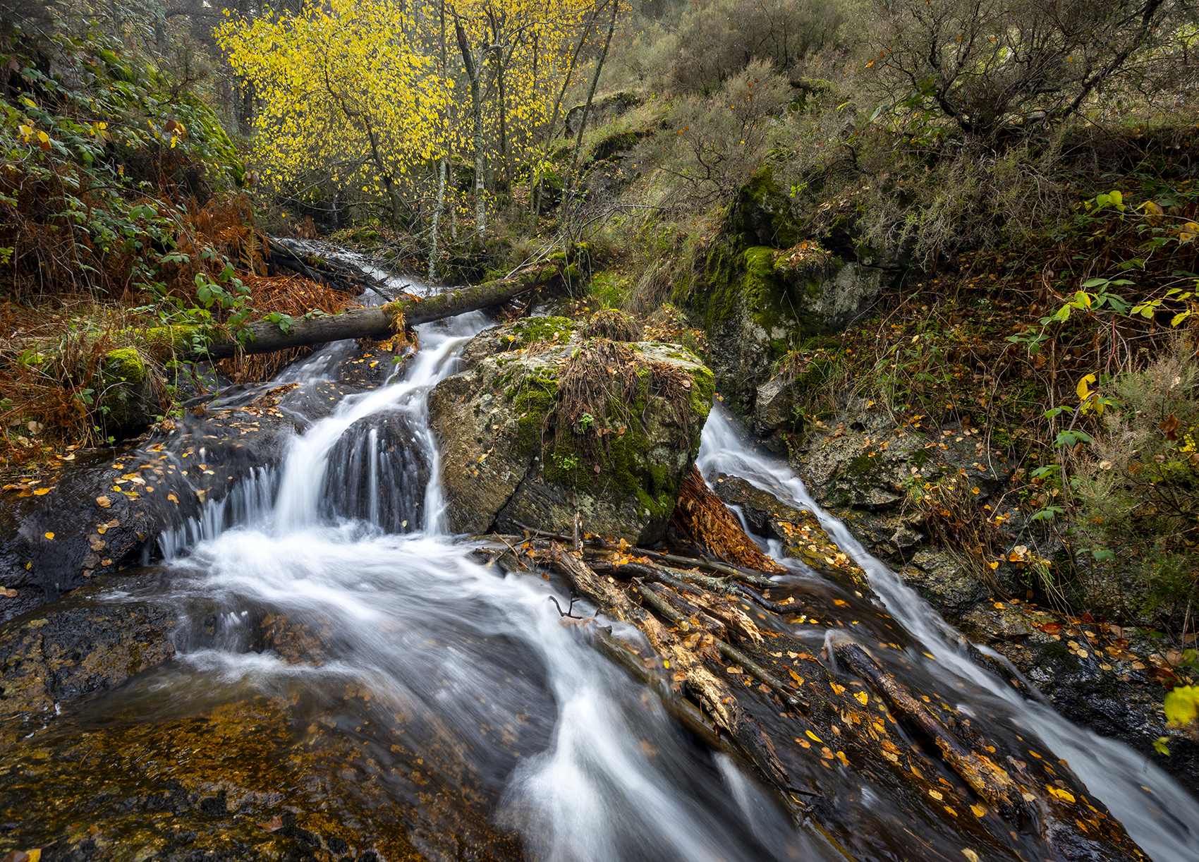 photo, photography, picture, land, landscape, nature, autumn, river, color, mood , colorful, green, river, flow, flowing, forest, mountains, jimenez millan samuel