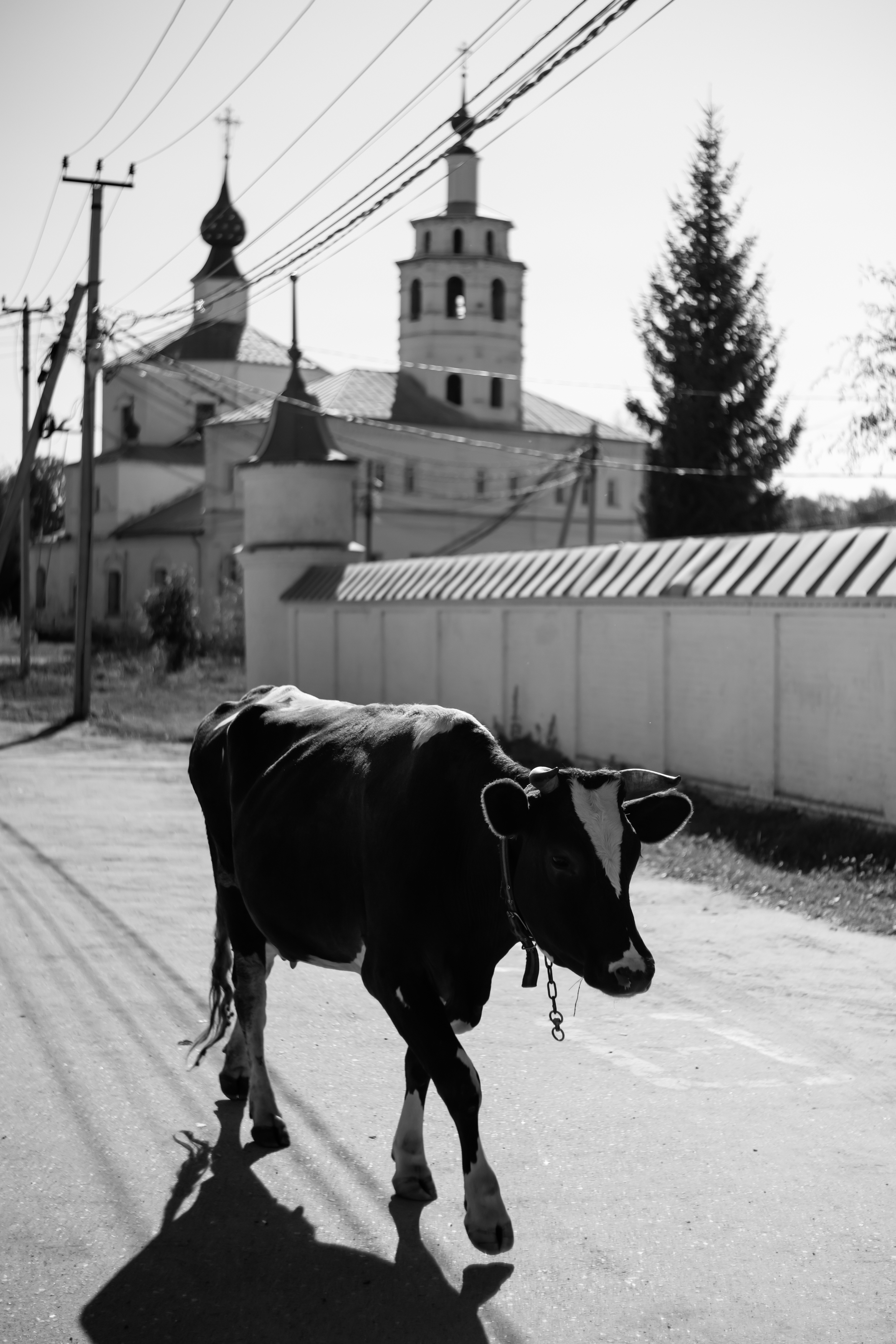 , Шилов Александр