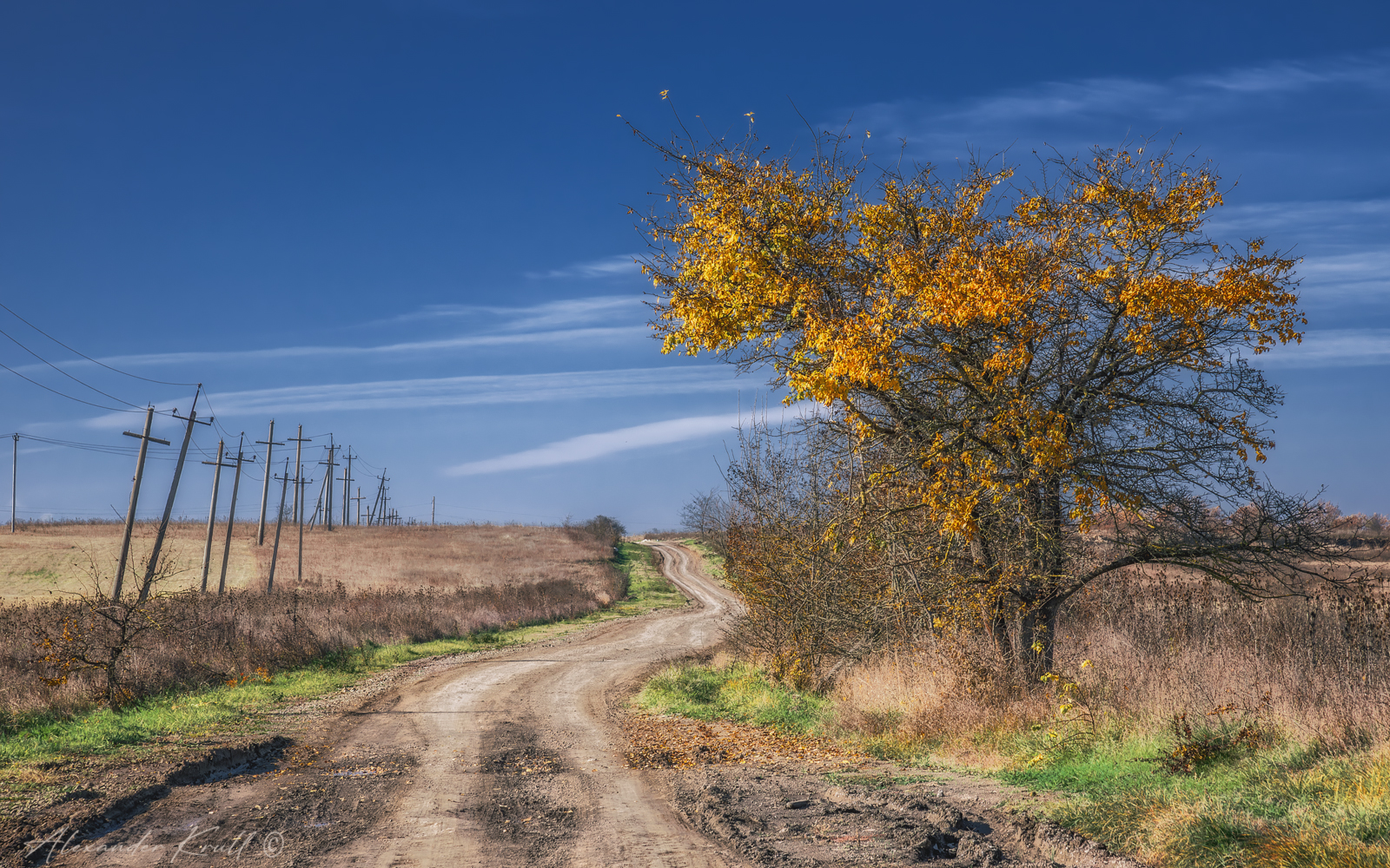 кубань, краснодарский край, дорога, поле, осень, алыча, Круль Александр