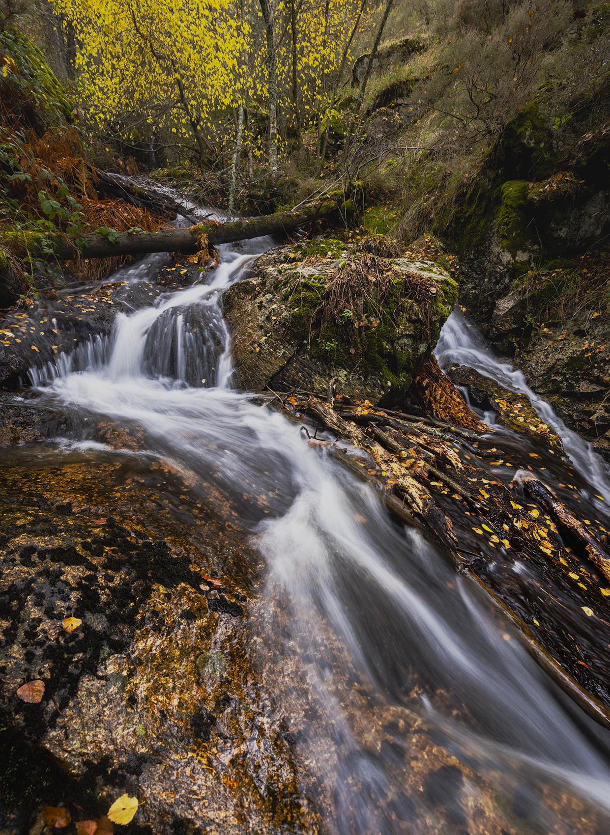 photo, photography, picture, land, landscape, nature, autumn, river, color, mood , colorful, green, river, flow, flowing, forest, mountains, jimenez millan samuel