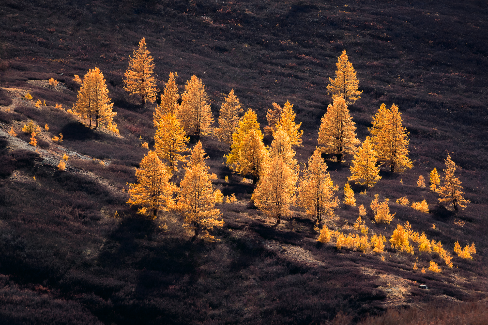 , Рудаков Глеб