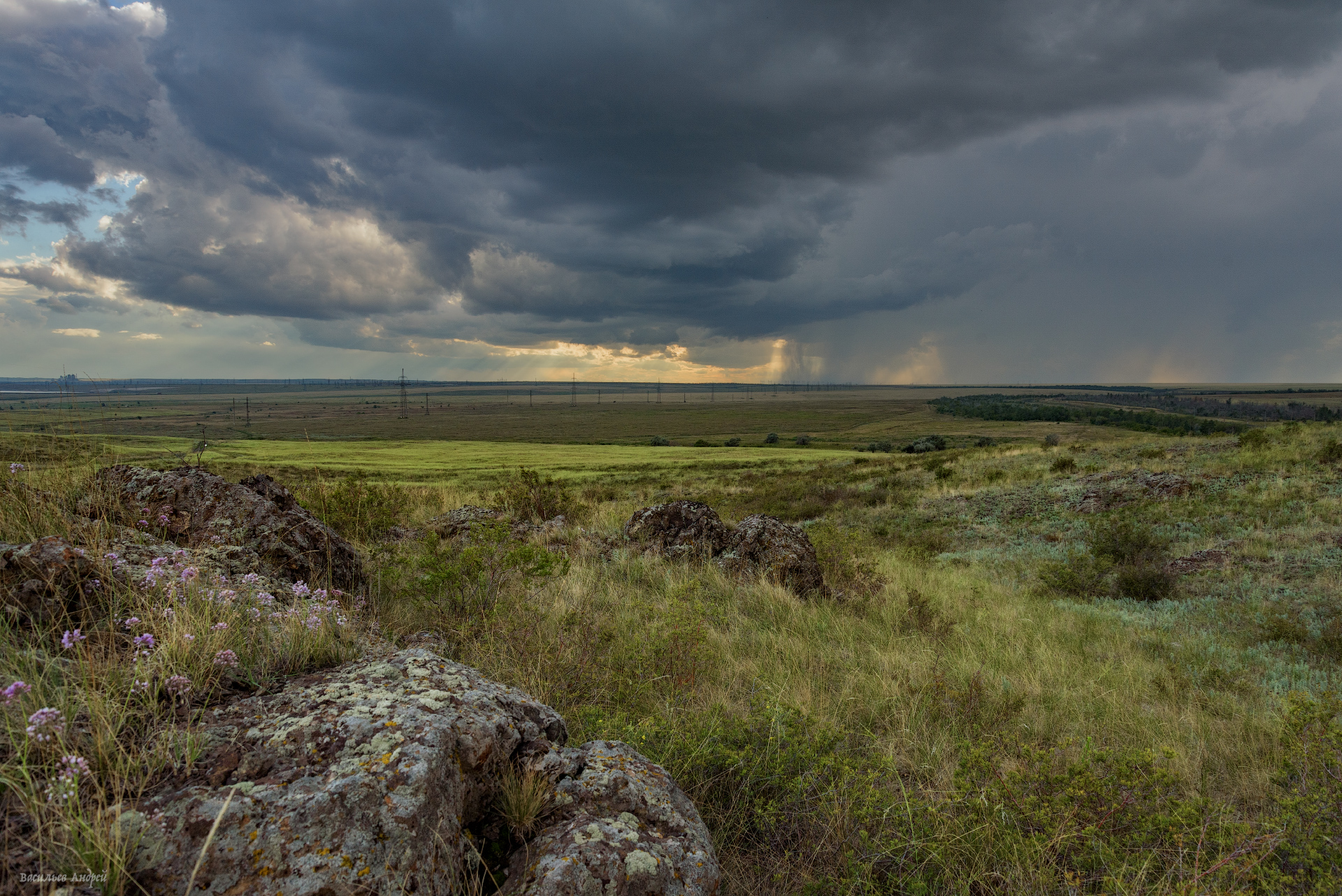 Оренбургская область, природа, лето, Vasilyev Andrey