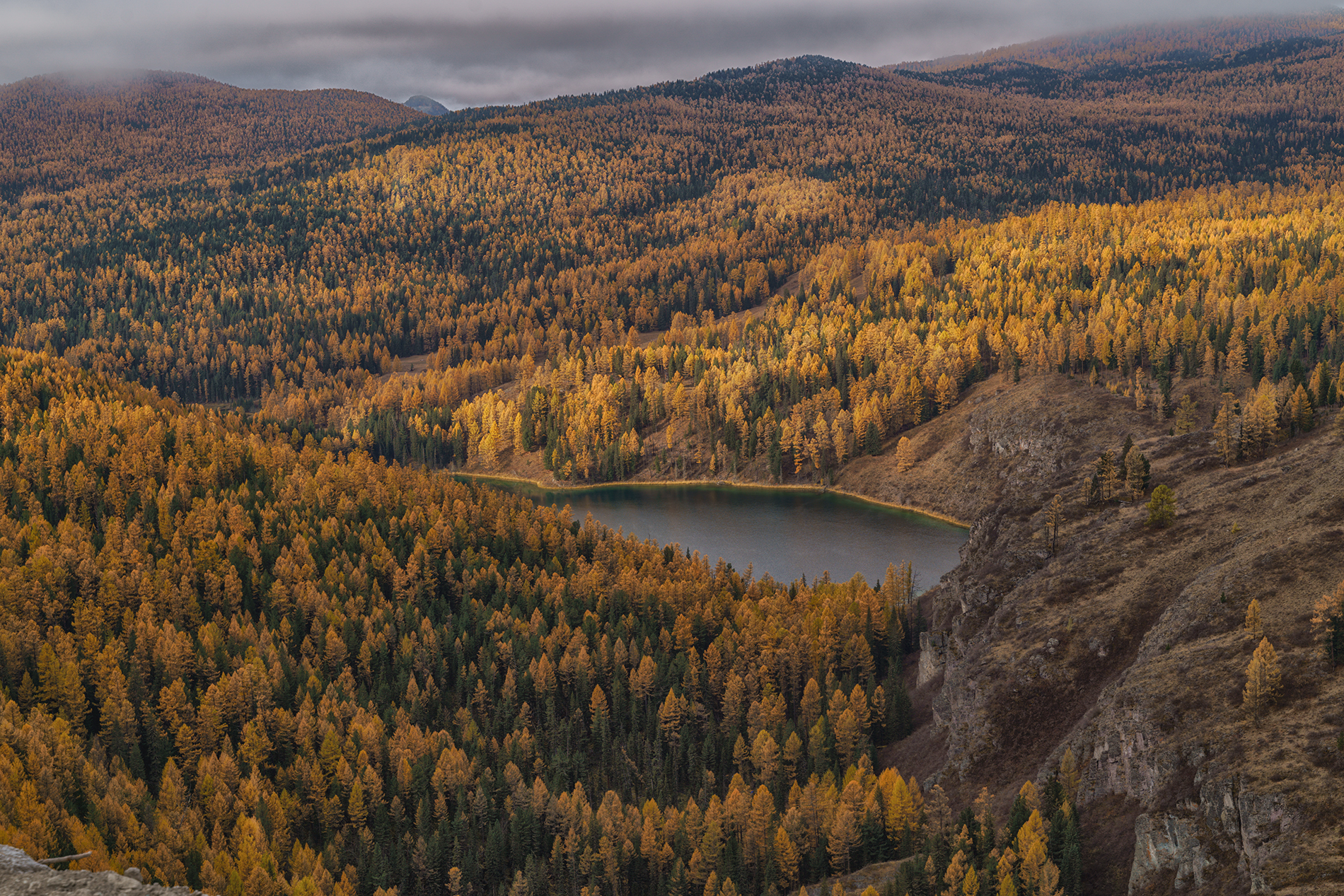 Алтай,Россия,осень, пейзаж,, Лариса Дука