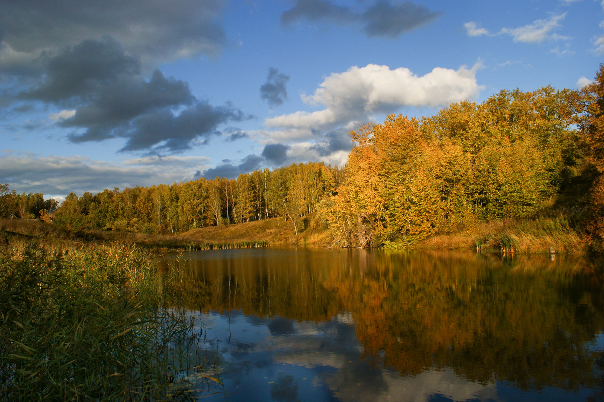 осень, Колеснева Елена