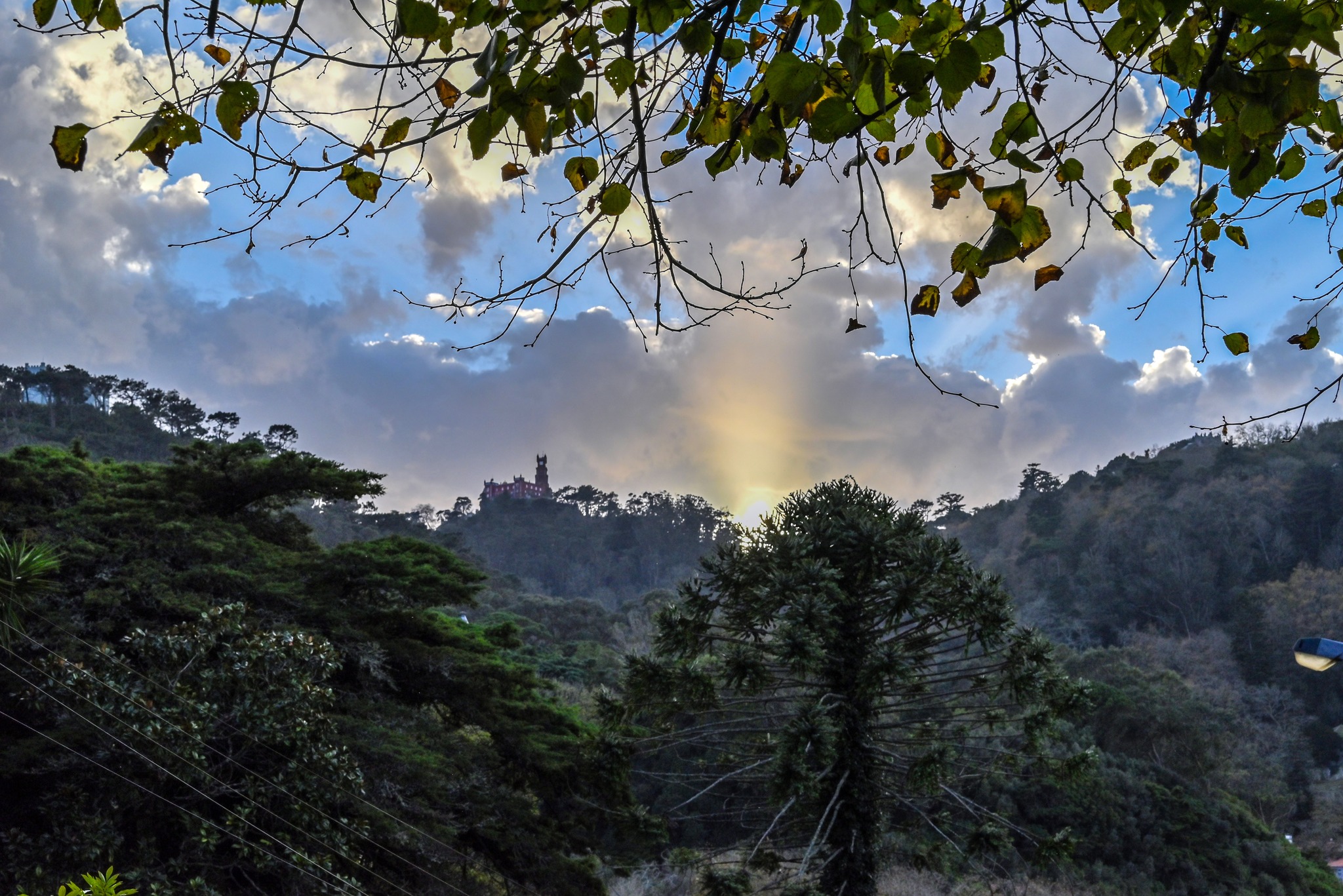 Landscapes, Nature, Machado Carlos