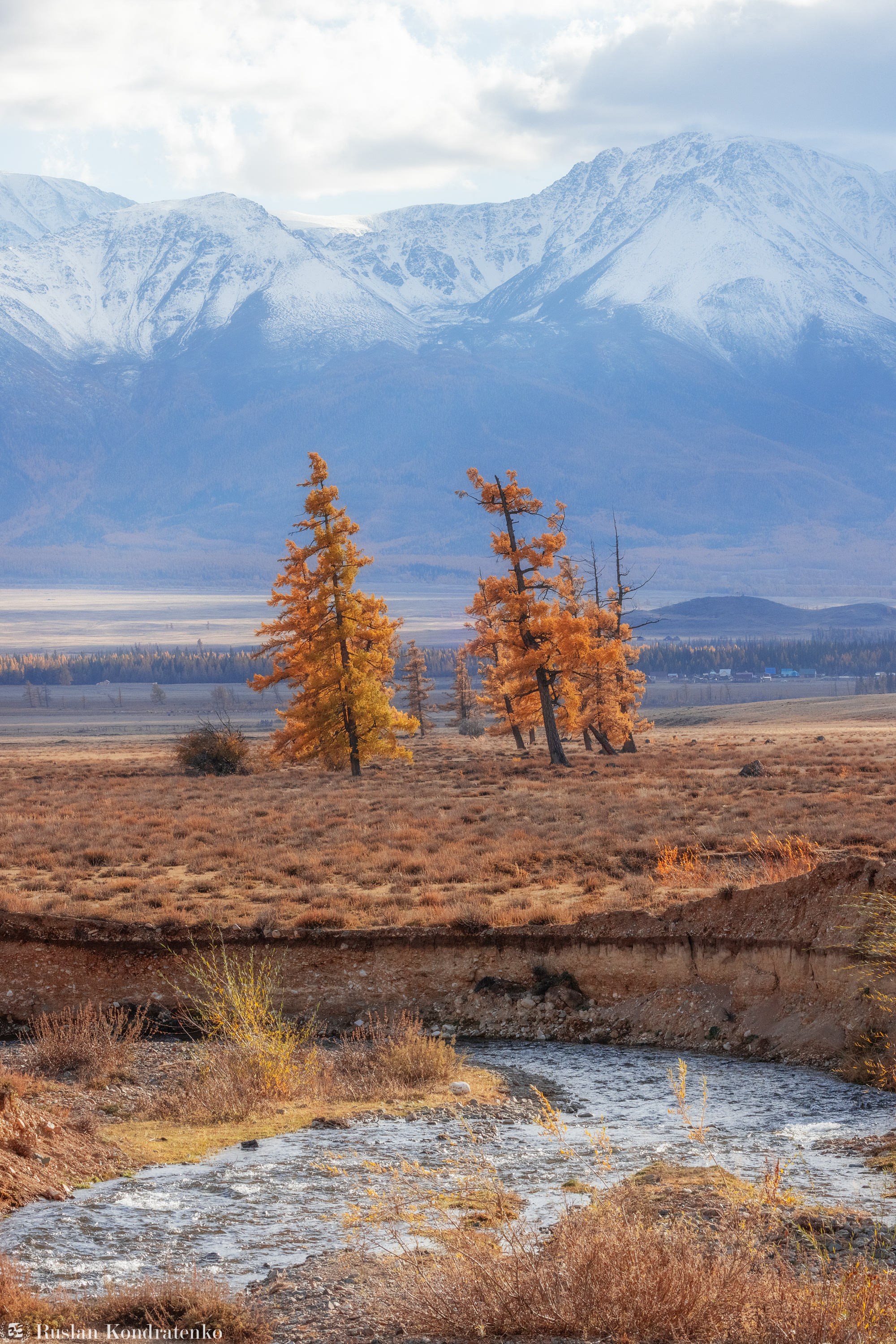 алтай, курайская степь, осень, горный алтай, Кондратенко Руслан