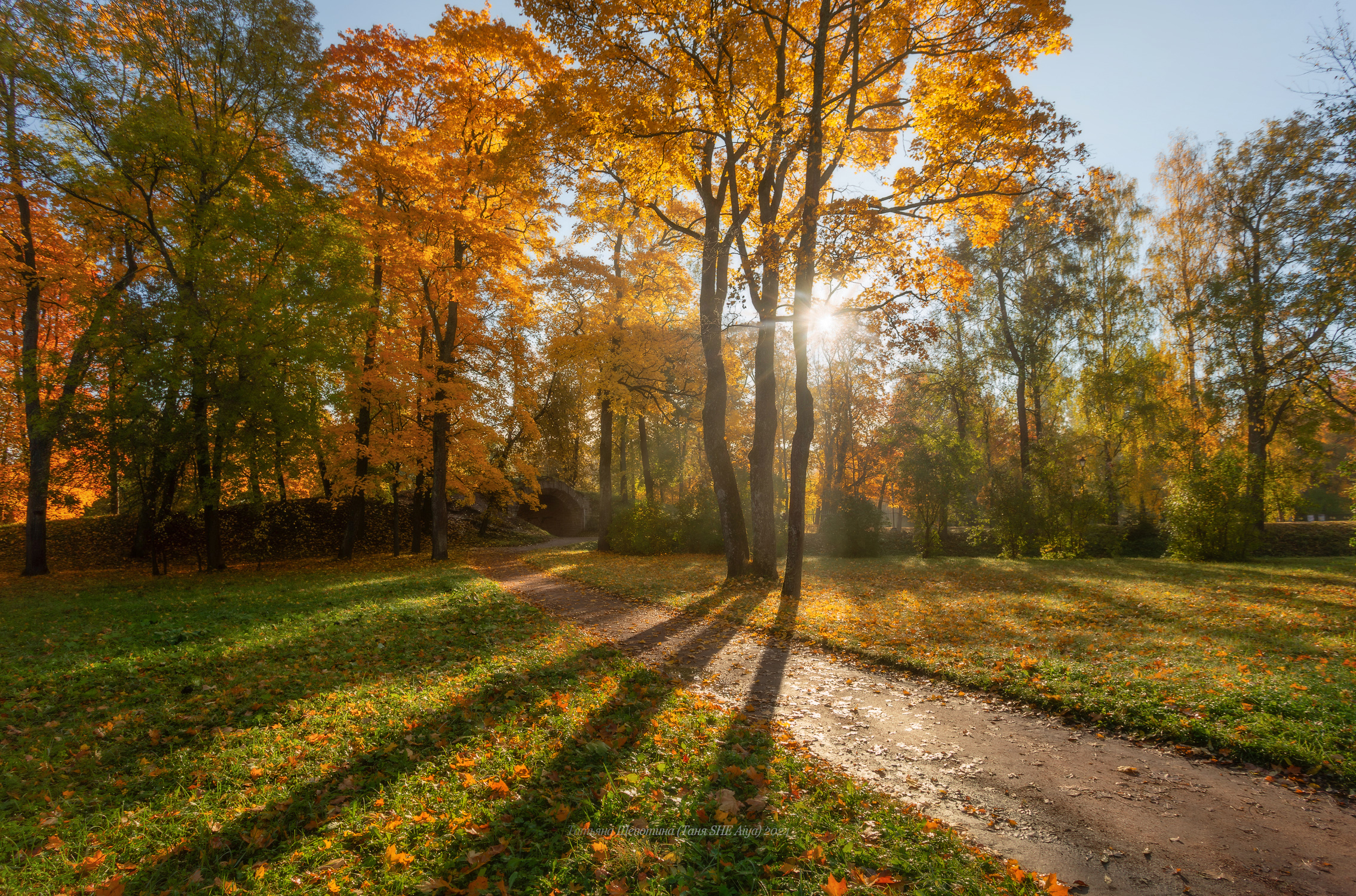 питер, пушкин, царское село, царское,  landscape, tsarskoye selo, autumn,  городской пейзаж, санкт-петербург, рассвет, александровский парк, Щепотина Татьяна